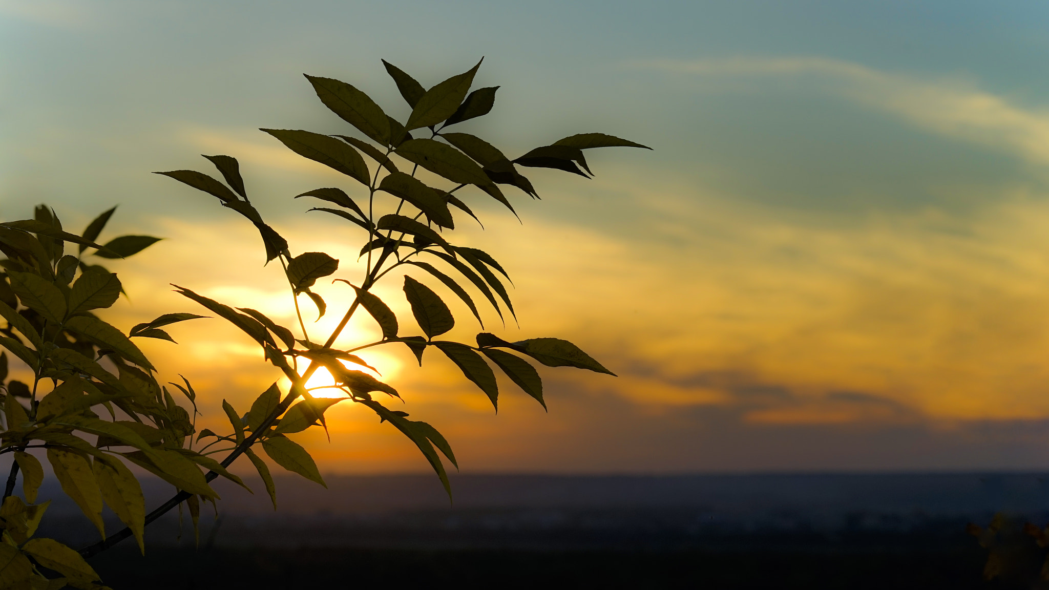 Sony a7 sample photo. Colors of the sunset photography