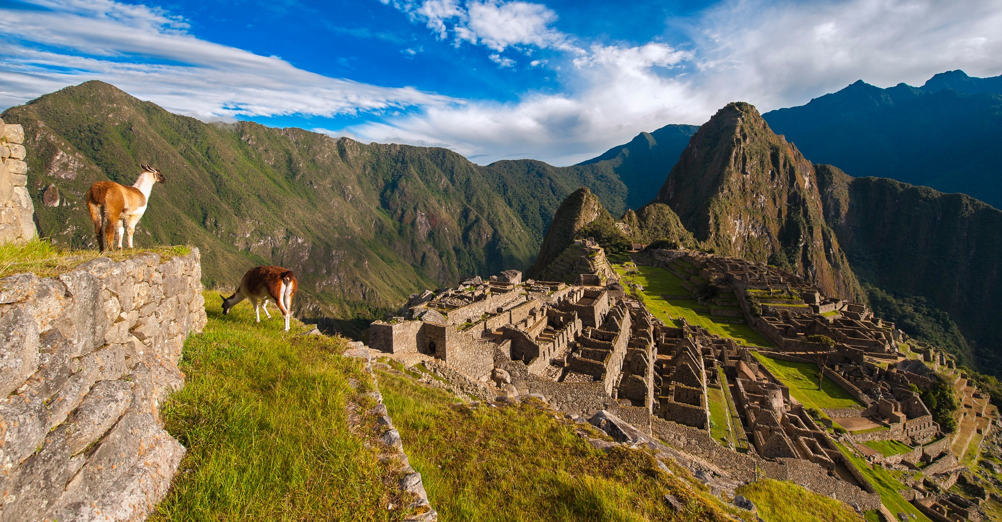 Nikon D3 sample photo. Machu picchu peru photography