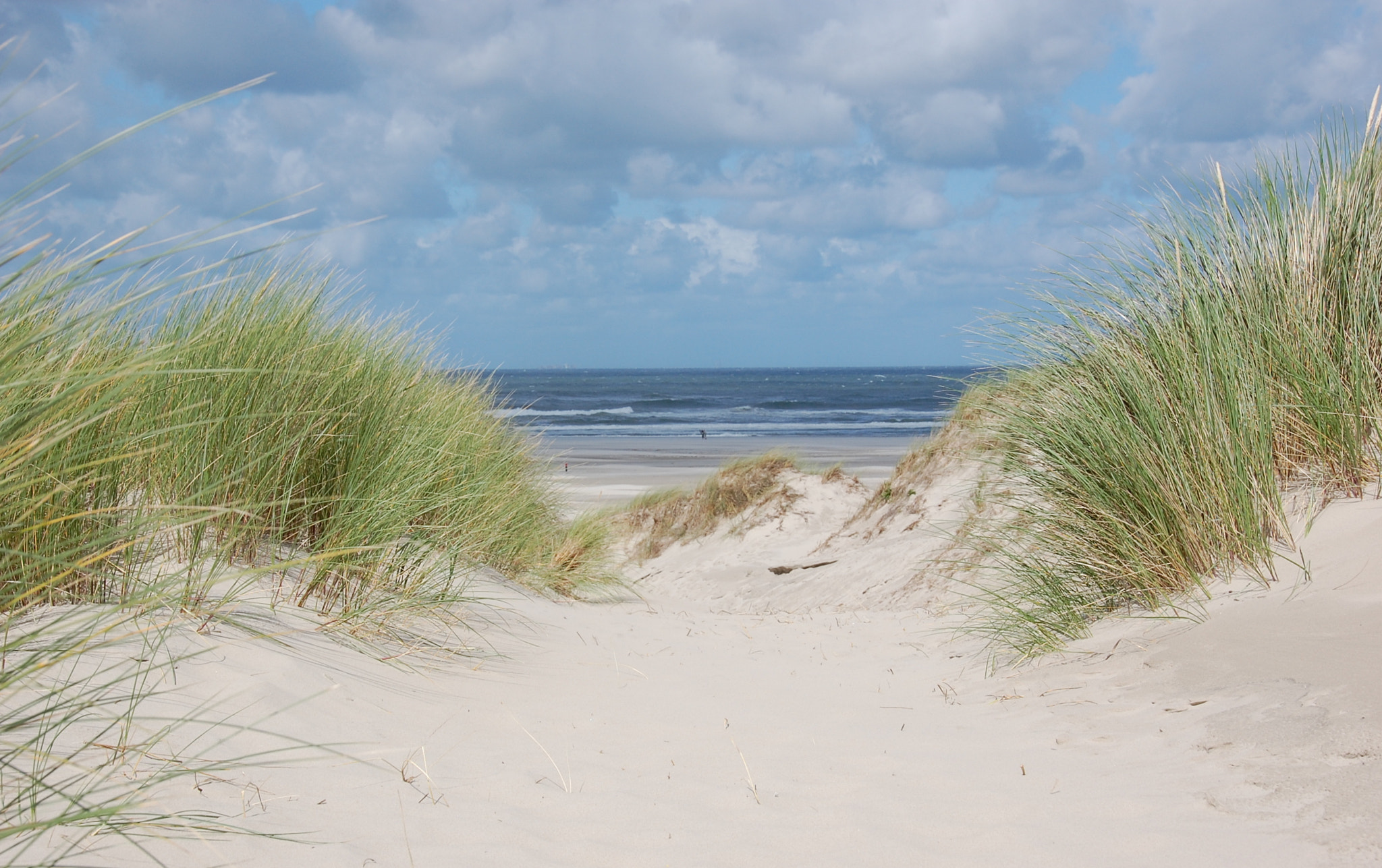 Nikon D40 sample photo. Dutch coast.......... photography