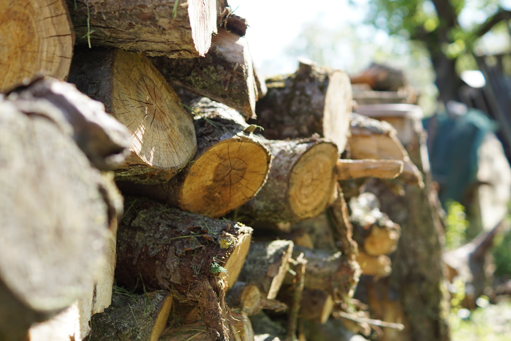 Sony ILCA-77M2 + Sony DT 35mm F1.8 SAM sample photo. Woodpile at vineyard (saale-unstrut) photography