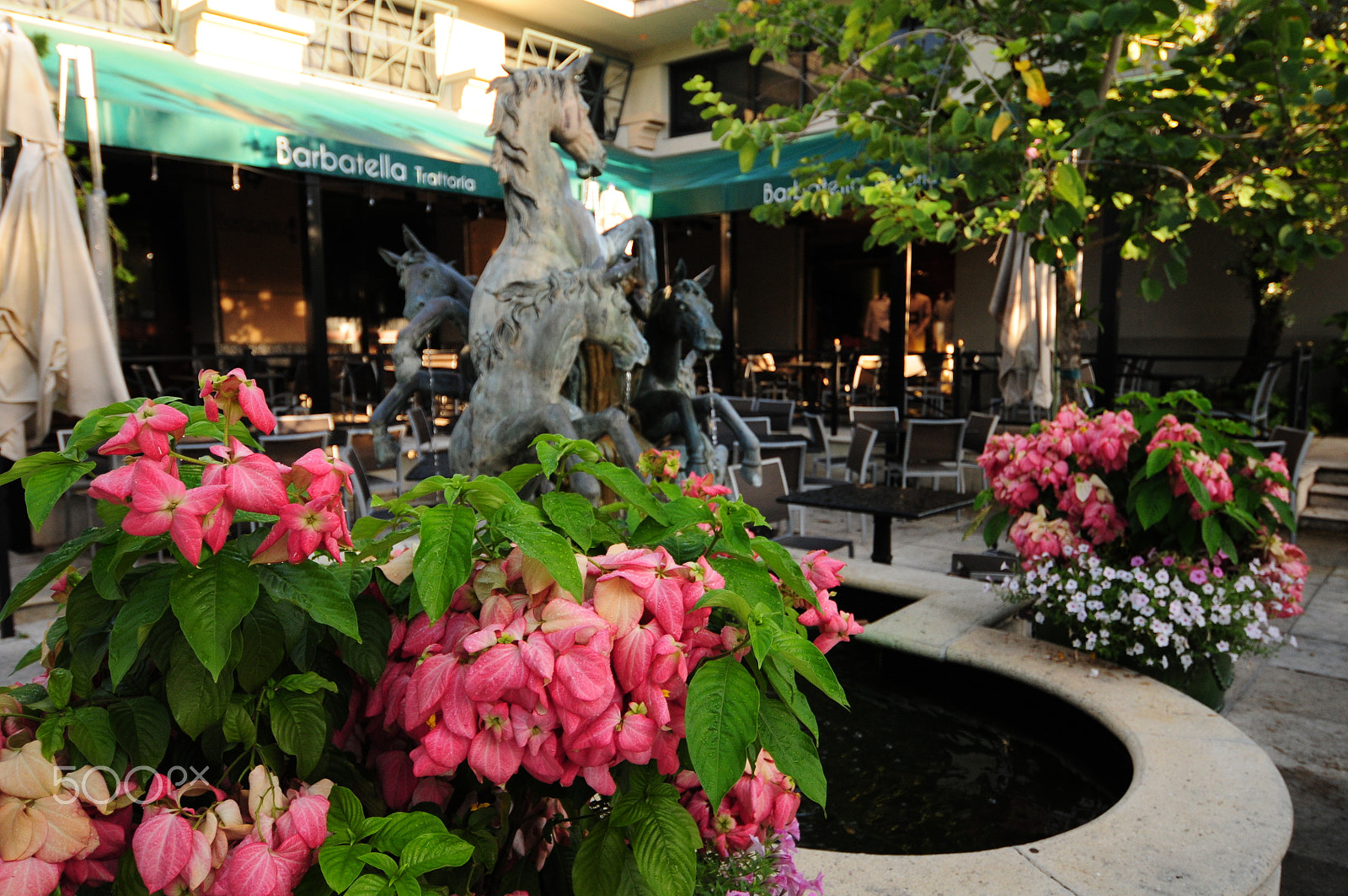 Nikon D300 sample photo. Naples square photography