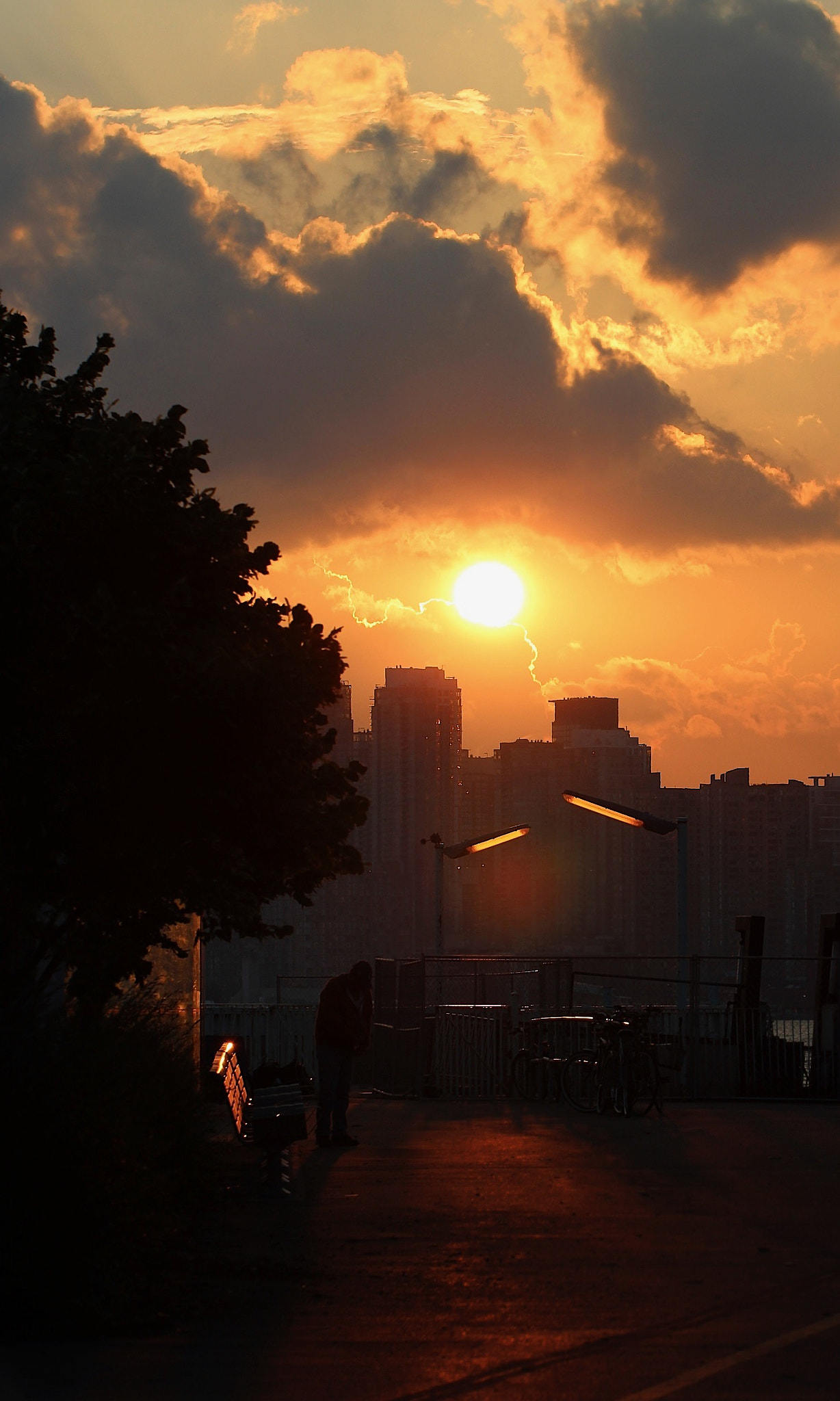 Canon EF 100mm F2.8L Macro IS USM sample photo. Sunset, toronto island photography