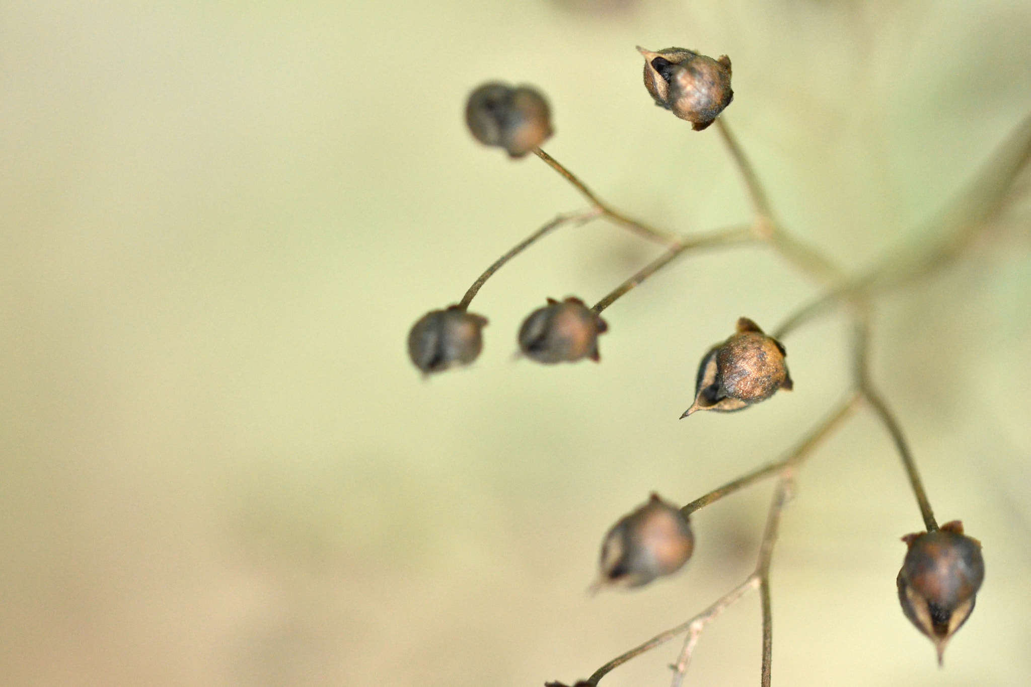 Sigma 105mm F2.8 EX DG OS HSM sample photo. Dry photography