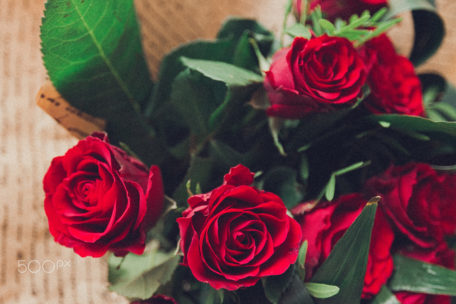 Canon EOS-1D Mark IV sample photo. Roses photography