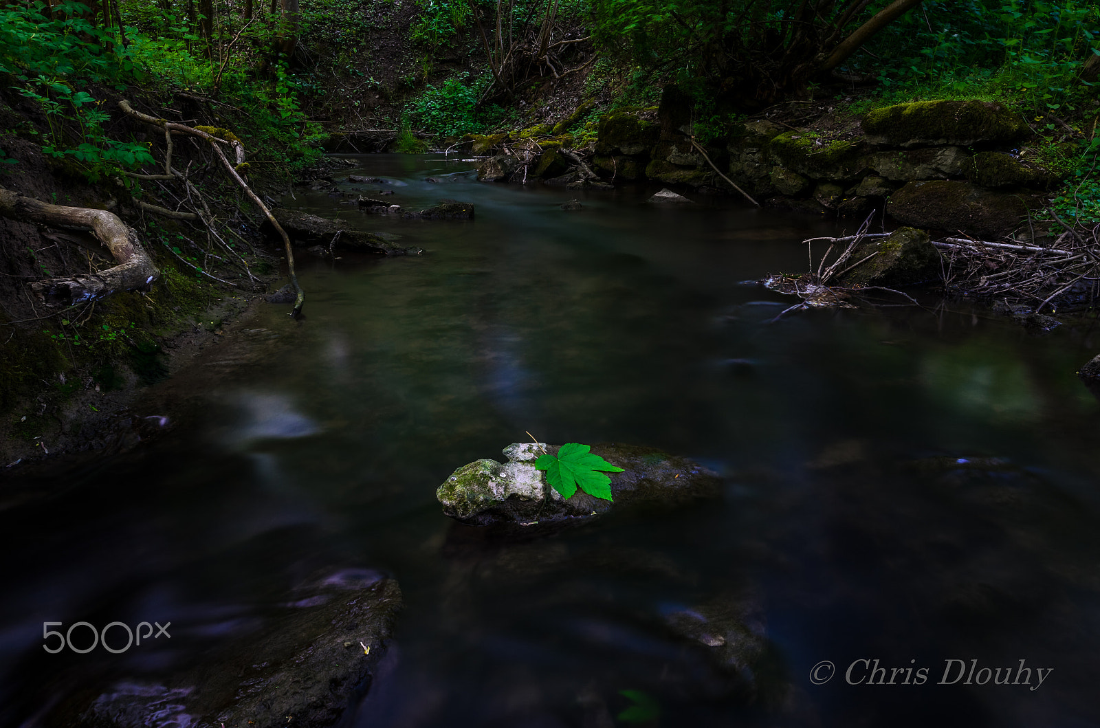 Nikon AF-S Nikkor 14-24mm F2.8G ED sample photo. Creek photography