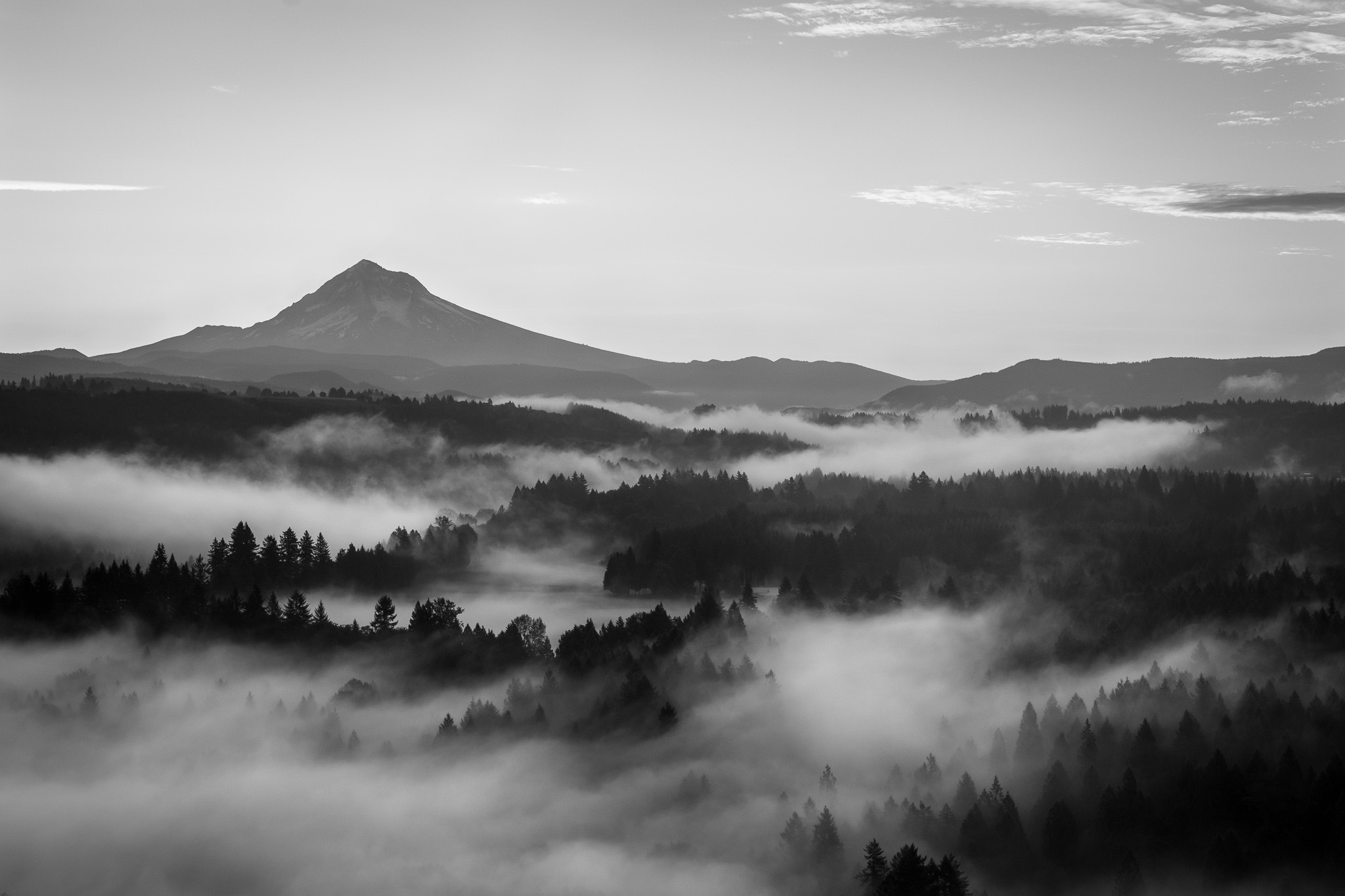 Fujifilm X-Pro2 + Fujifilm XF 50-140mm F2.8 R LM OIS WR sample photo. Morning fog photography