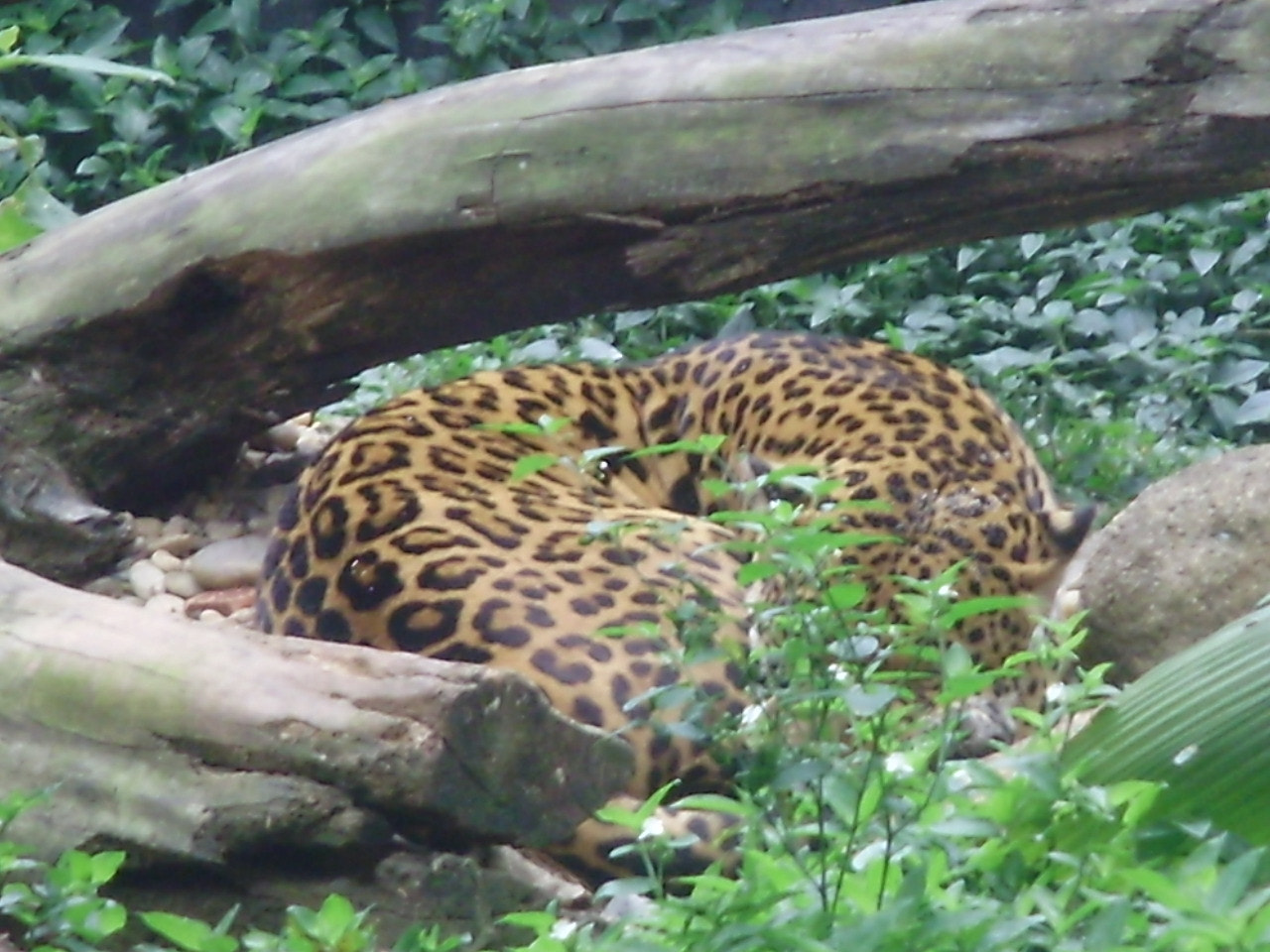 Olympus FE310,X840,C530 sample photo. Olympus digital camera photography