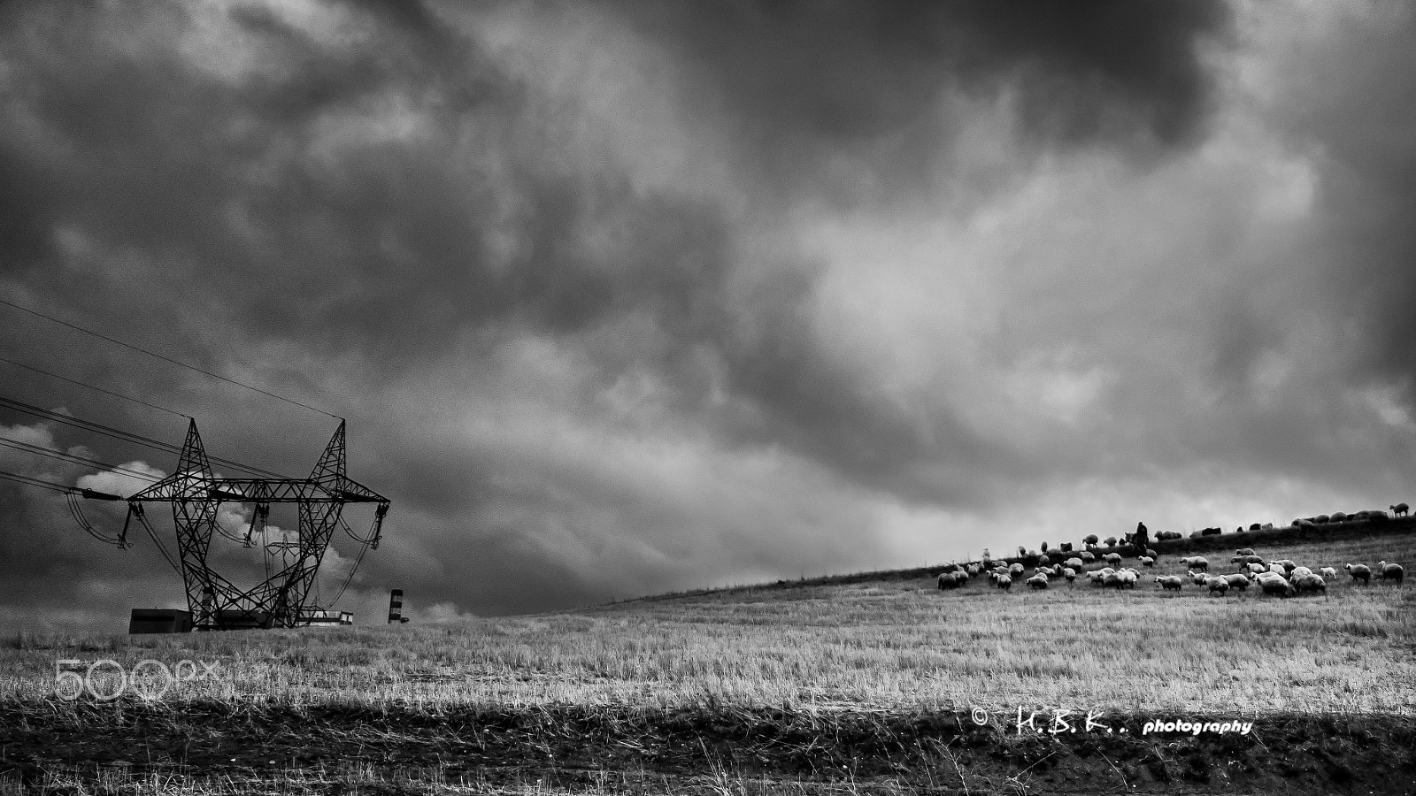 Samsung NX 16mm F2.4 Pancake sample photo. The lambs of the silent photography