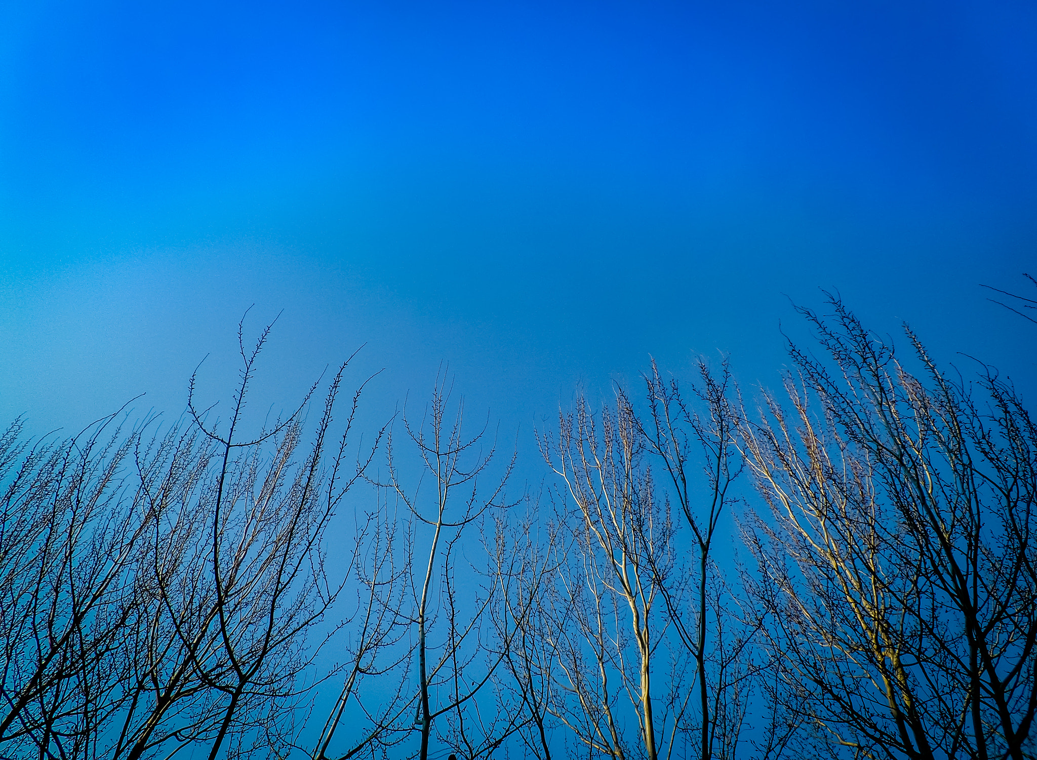 Samsung WB800F sample photo. Clear blue sky photography