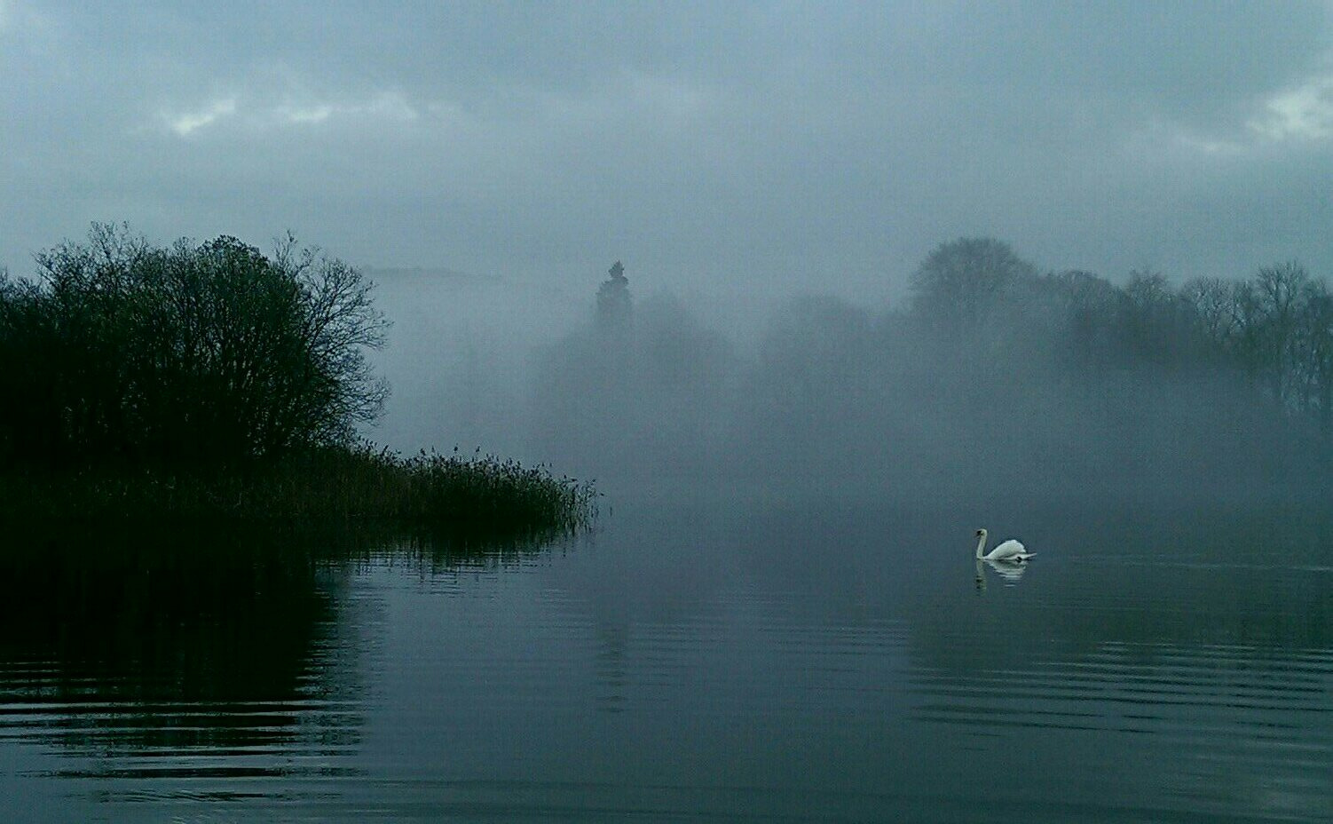 HTC ONE MINI sample photo. A hazey swan photography