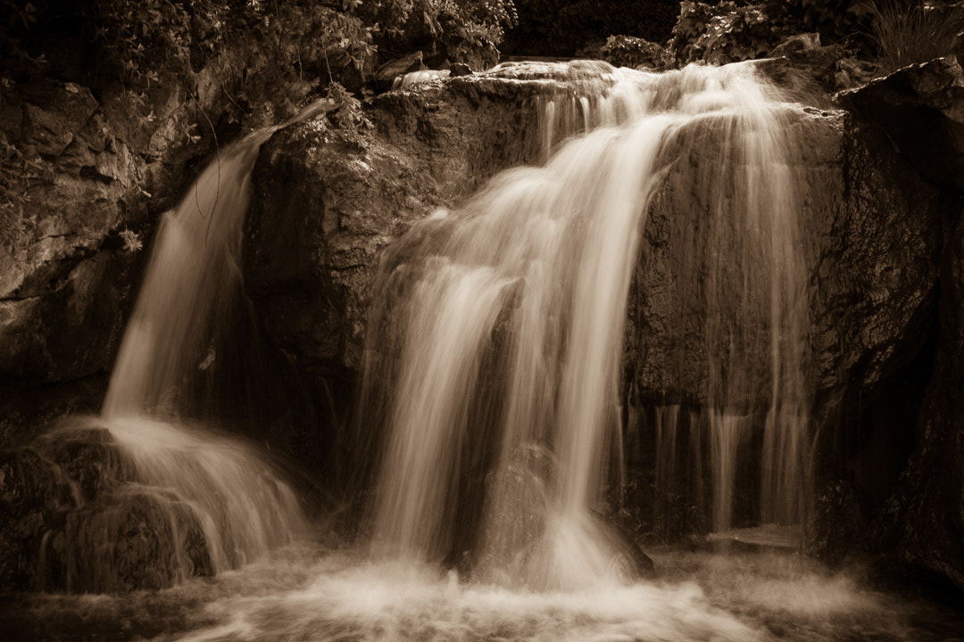 Sigma 18-250mm F3.5-6.3 DC OS HSM sample photo. Garden waterfall photography