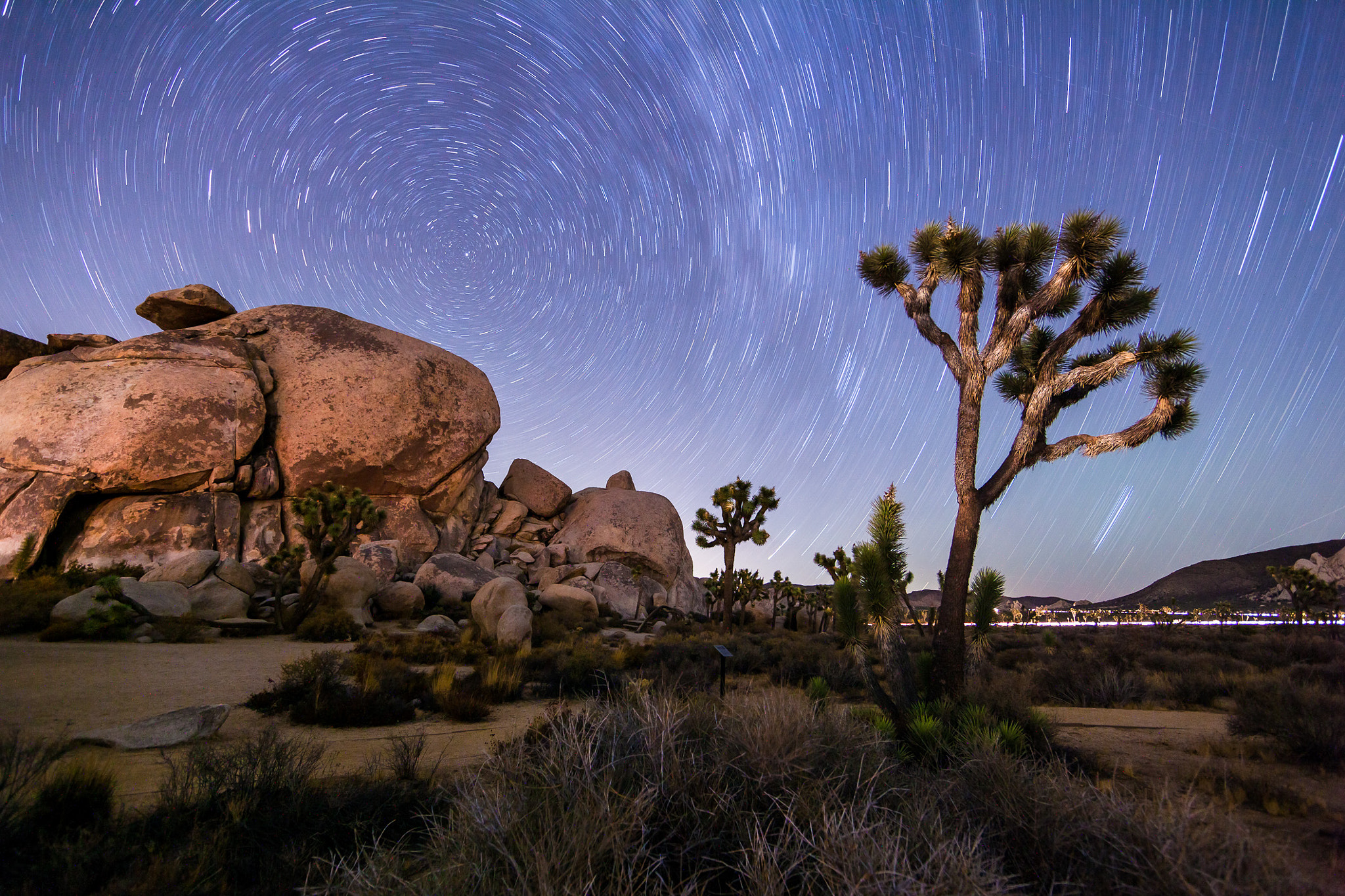 Canon EOS 5D Mark II sample photo. Joshua tree startrail photography