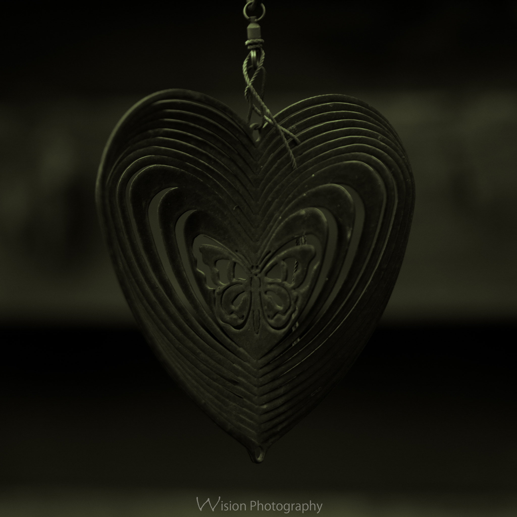 Sigma 150mm F2.8 EX DG Macro HSM sample photo. Butterfly in my heart photography