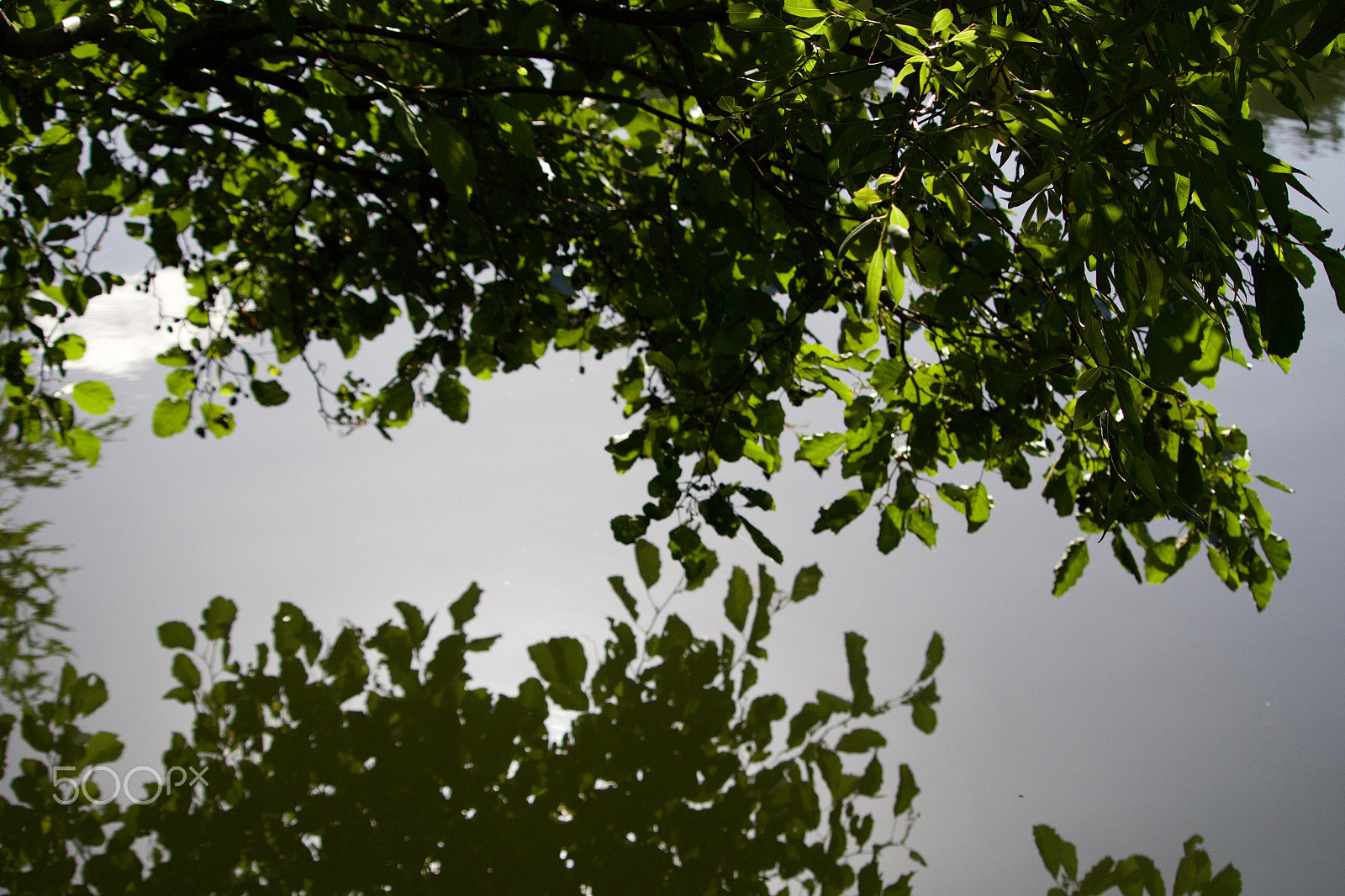 Canon EF-S 55-250mm F4-5.6 IS STM sample photo. 29125141473.jpg photography