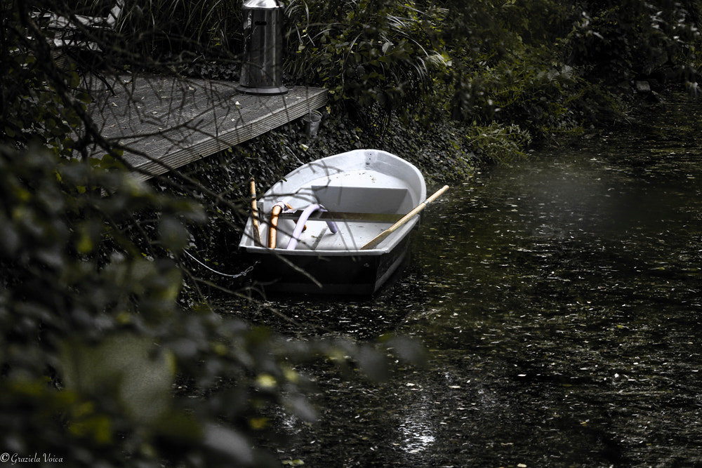 Canon EF 100mm F2.8 Macro USM sample photo. Boat photography