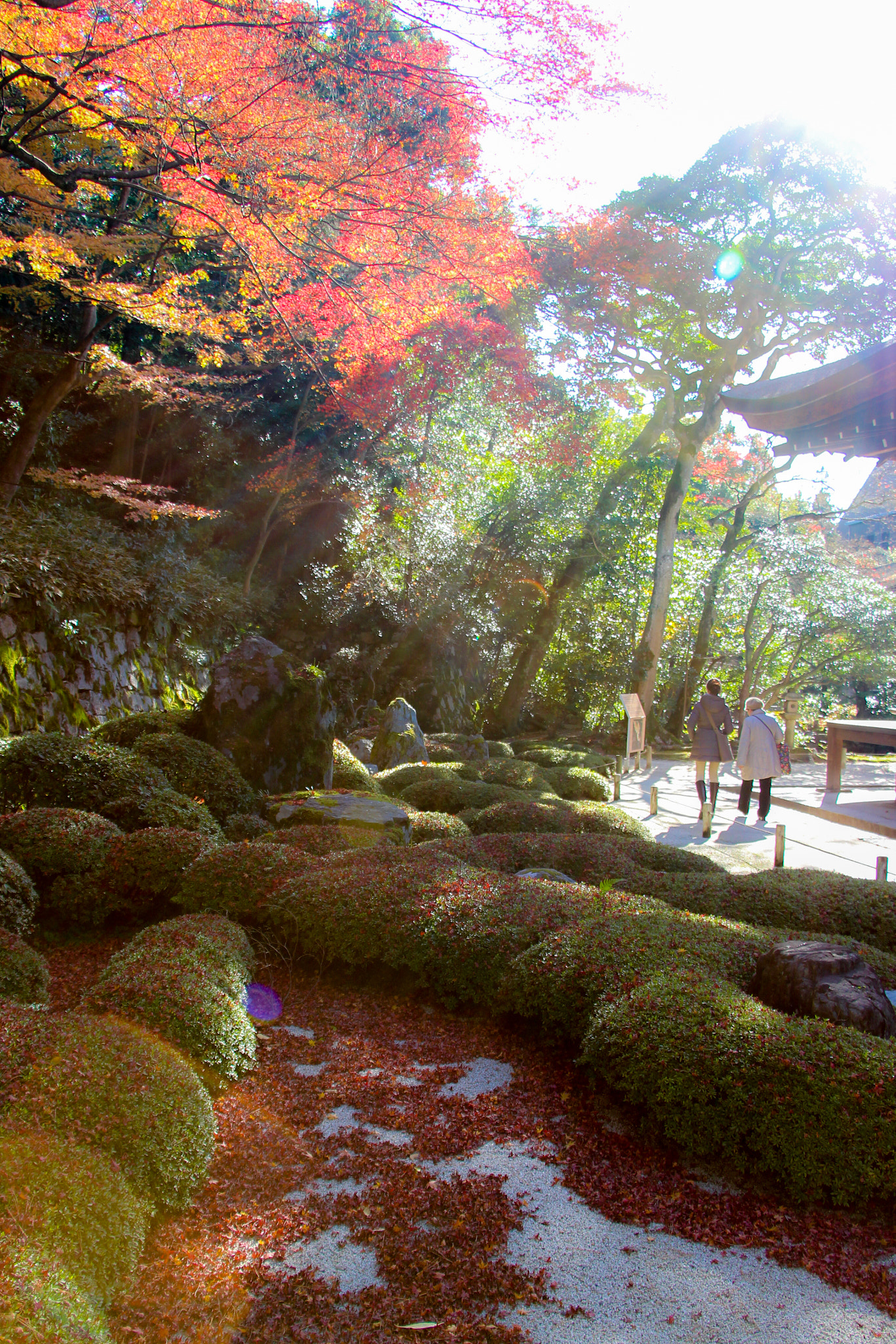 Canon EOS 700D (EOS Rebel T5i / EOS Kiss X7i) sample photo. Nature of kyoto photography