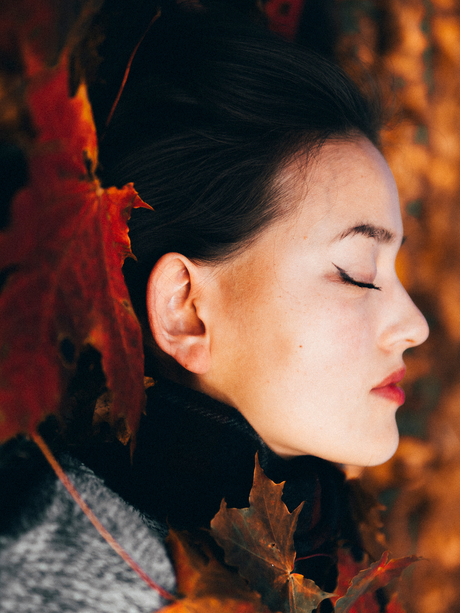Sigma 30mm F1.4 DC DN | C sample photo. Autumn bells photography