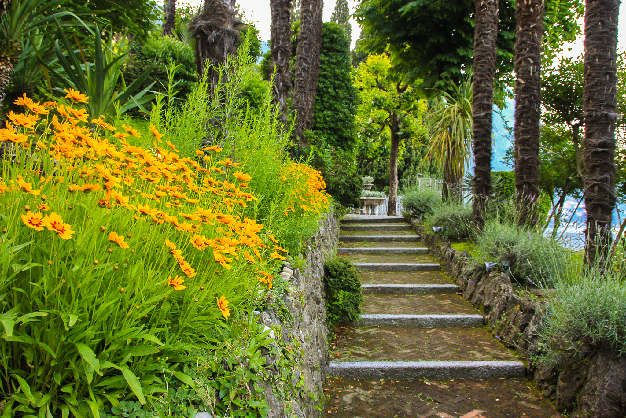 Sigma 18-250mm F3.5-6.3 DC OS HSM sample photo. Garden at lake como photography
