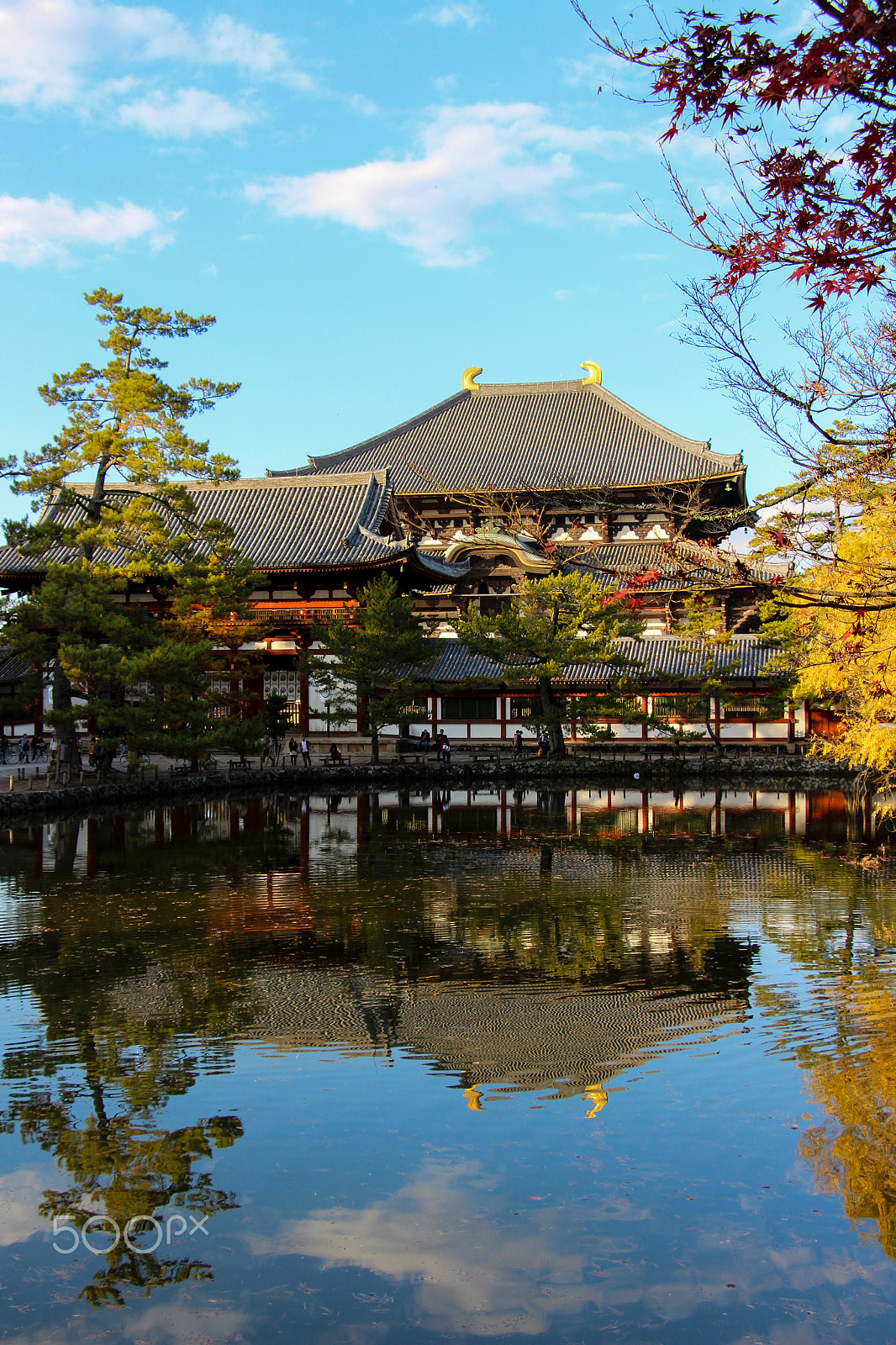 Canon EOS 700D (EOS Rebel T5i / EOS Kiss X7i) sample photo. Reflection of nara photography