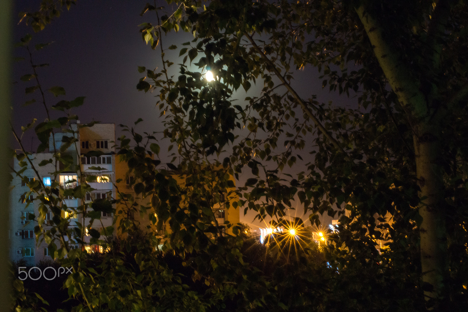 Tamron AF 55-200mm F4-5.6 Di II LD Macro sample photo. Good and have a lovely night my dear friends! :-) photography
