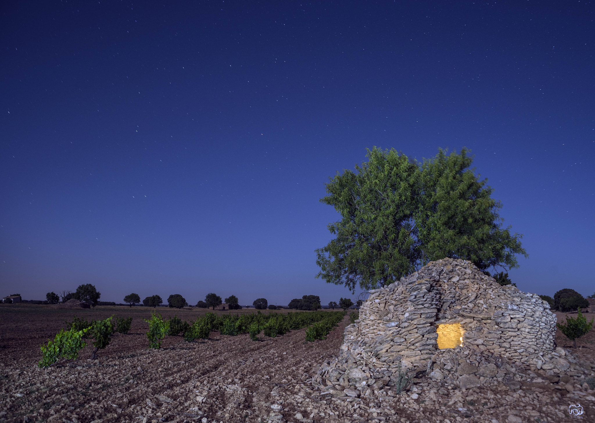 Nikon D750 sample photo. Cuco a la luz de la luna photography