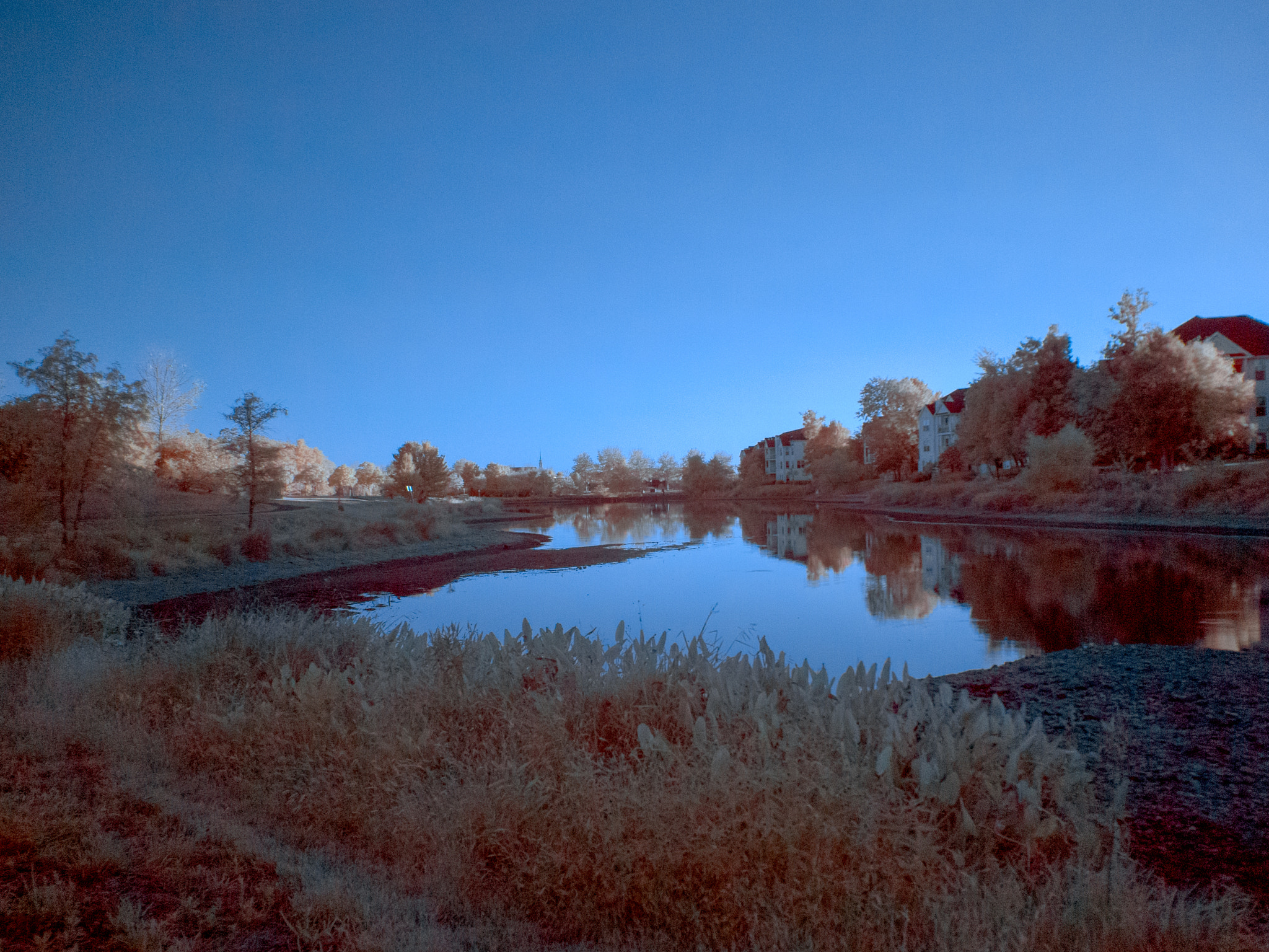 Olympus M.Zuiko Digital ED 14-42mm F3.5-5.6 EZ sample photo. Lake in infrared photography
