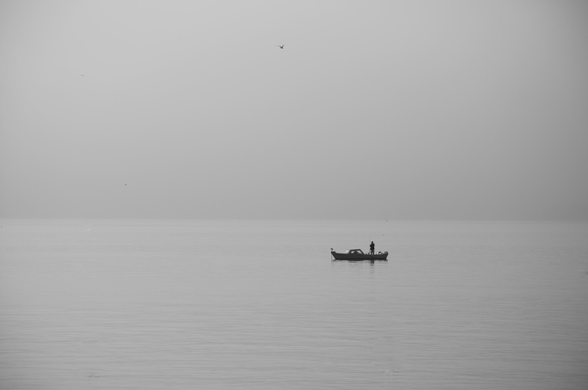 Nikon D300S sample photo. Minimalism photography