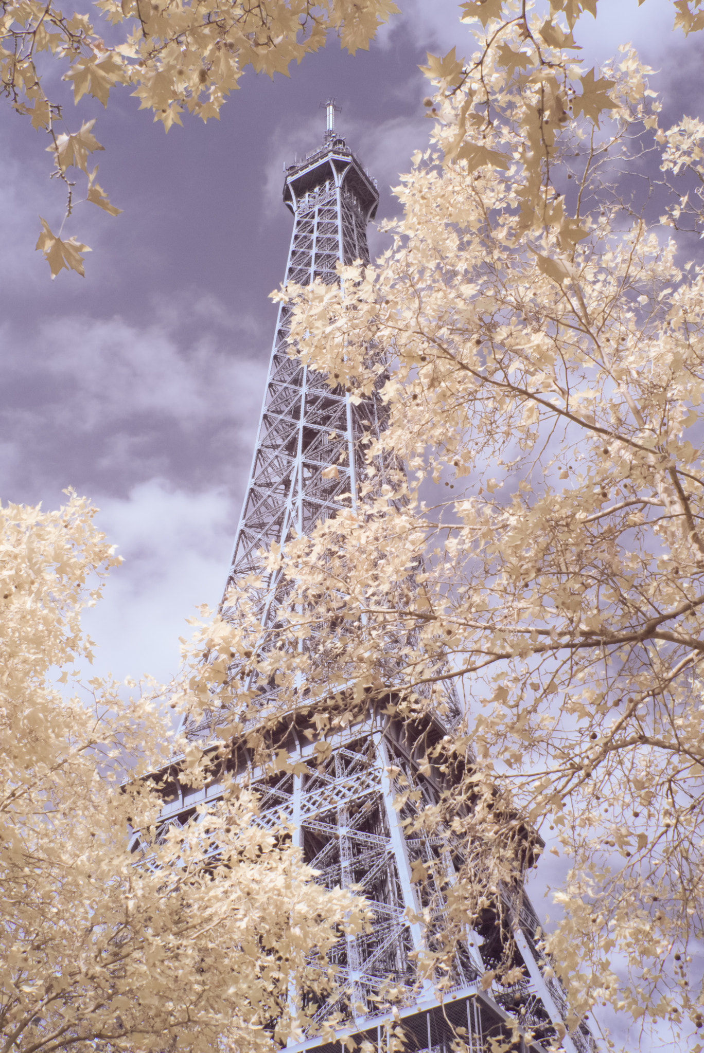 Panasonic Lumix DMC-GF3 + Panasonic Lumix G Vario 14-45mm F3.5-5.6 ASPH OIS sample photo. Eiffel tower in infrared (590 nm) photography