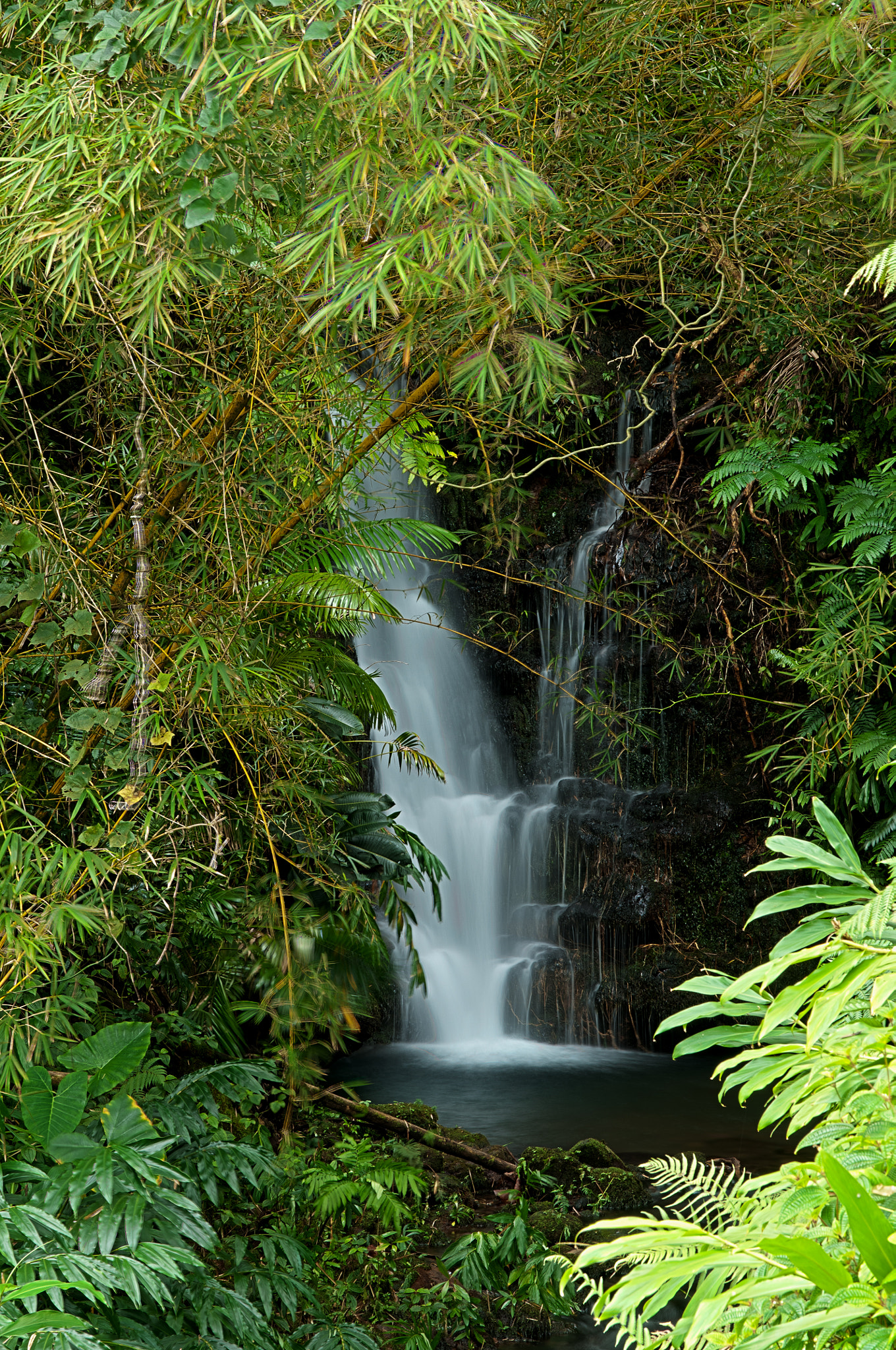 Sigma 17-70mm F2.8-4 DC Macro OS HSM sample photo. Secondary waterfall akala photography