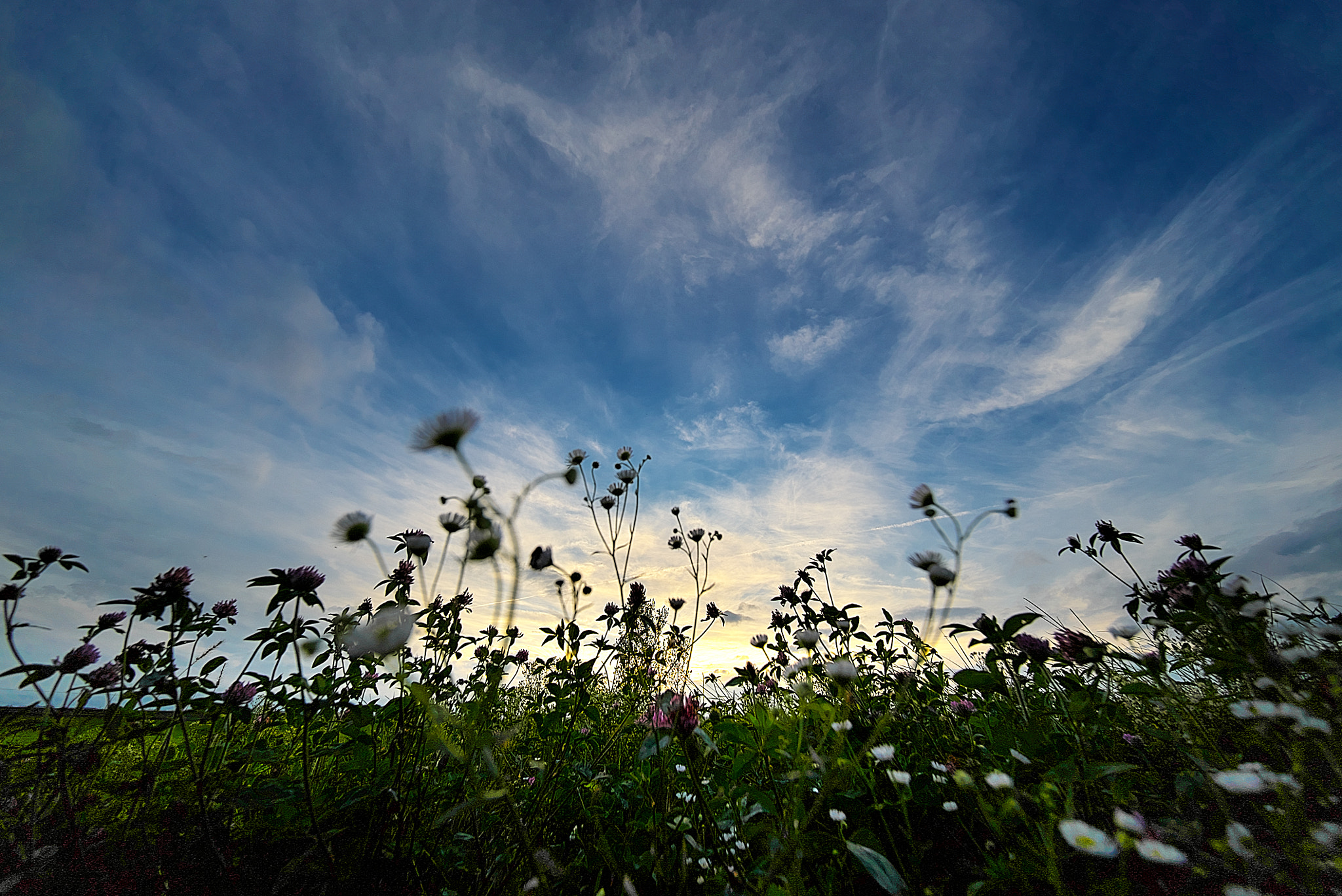 E 10mm F5.6 sample photo. From the perspective of colobockle photography