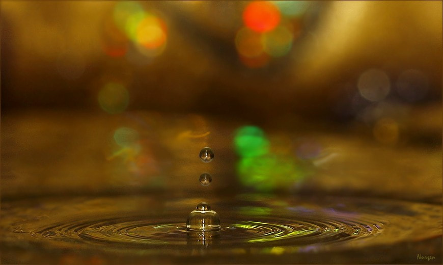 Canon EOS 60D + Canon EF 100mm F2.8L Macro IS USM sample photo. Colors... photography