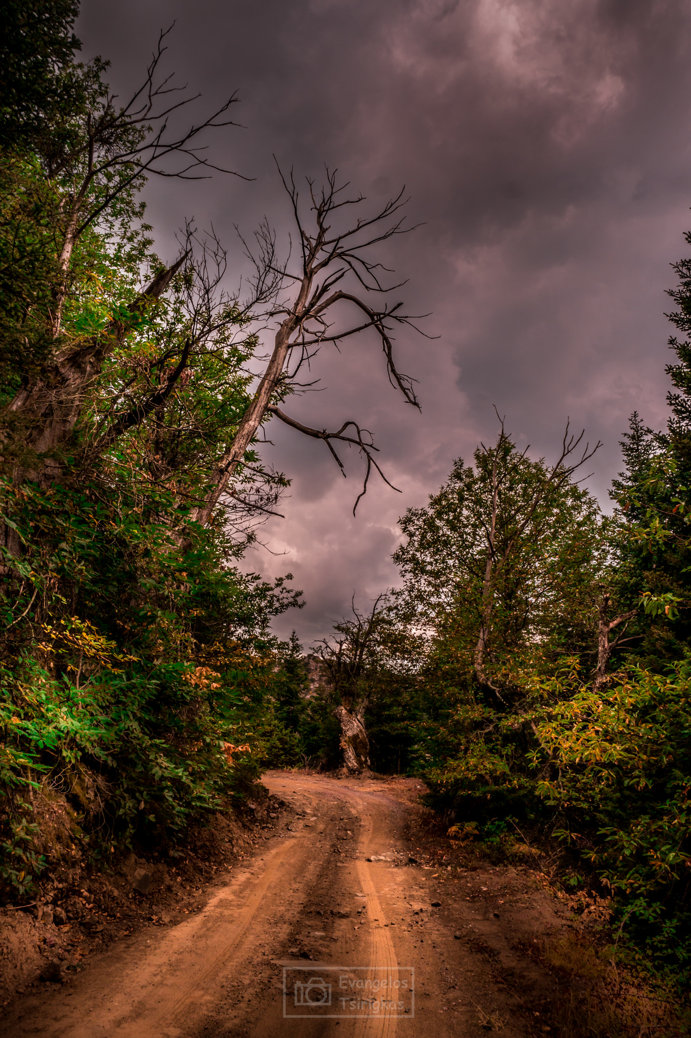 Samsung NX1 sample photo. Dirt road in raw land photography