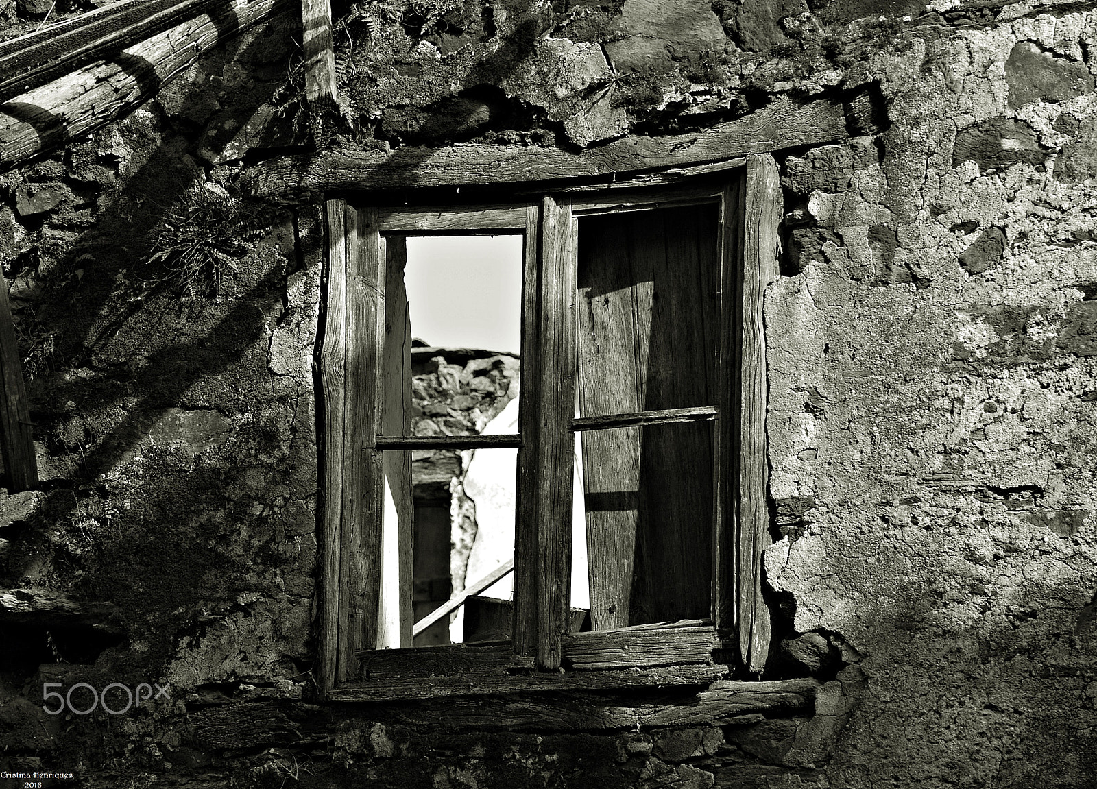 Nikon D40X sample photo. The window... photography