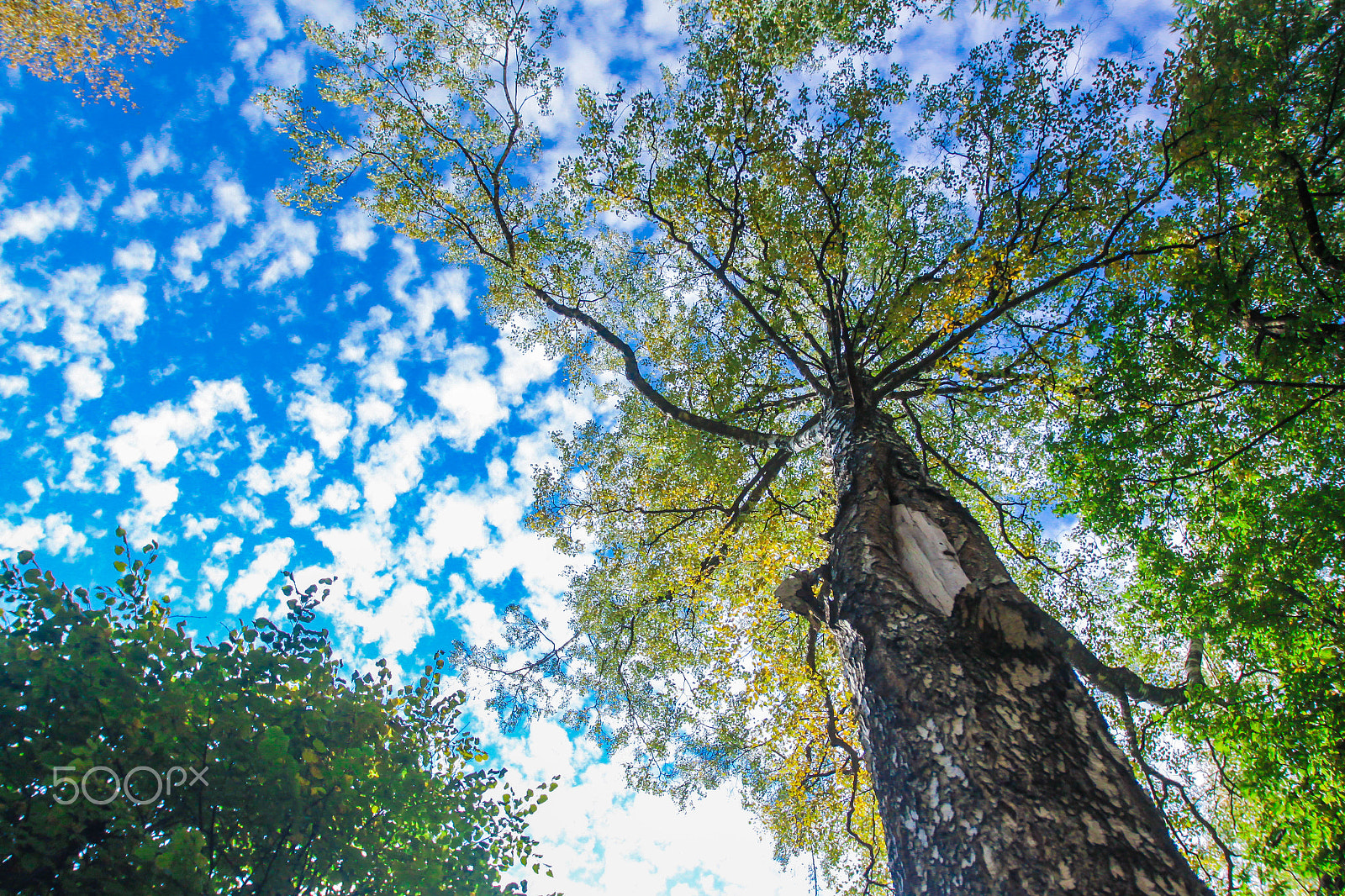 Canon EF 16-35mm F2.8L II USM sample photo. Sky falls down photography