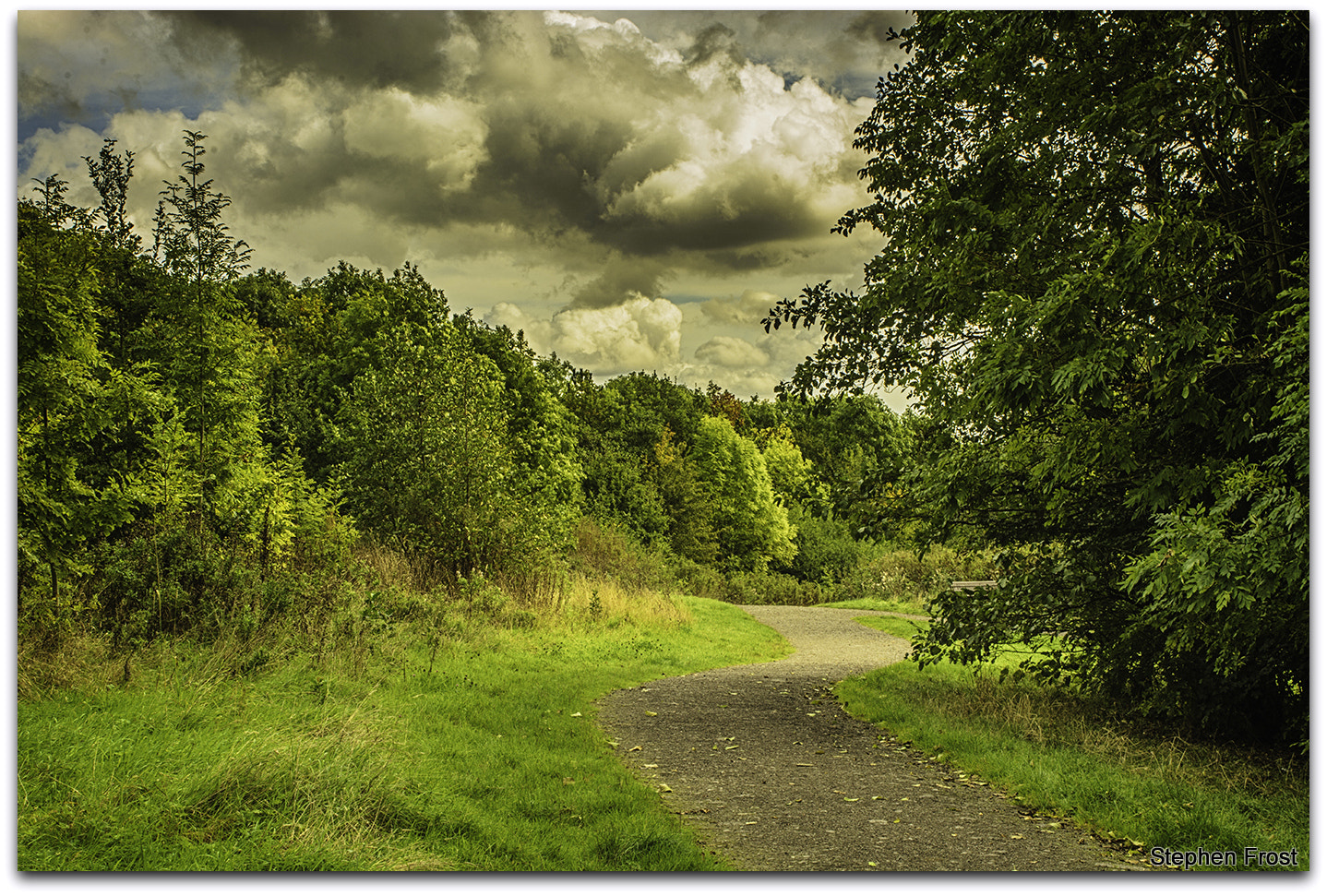 Nikon D7100 + Sigma 24-70mm F2.8 EX DG Macro sample photo. Woodland footpath photography