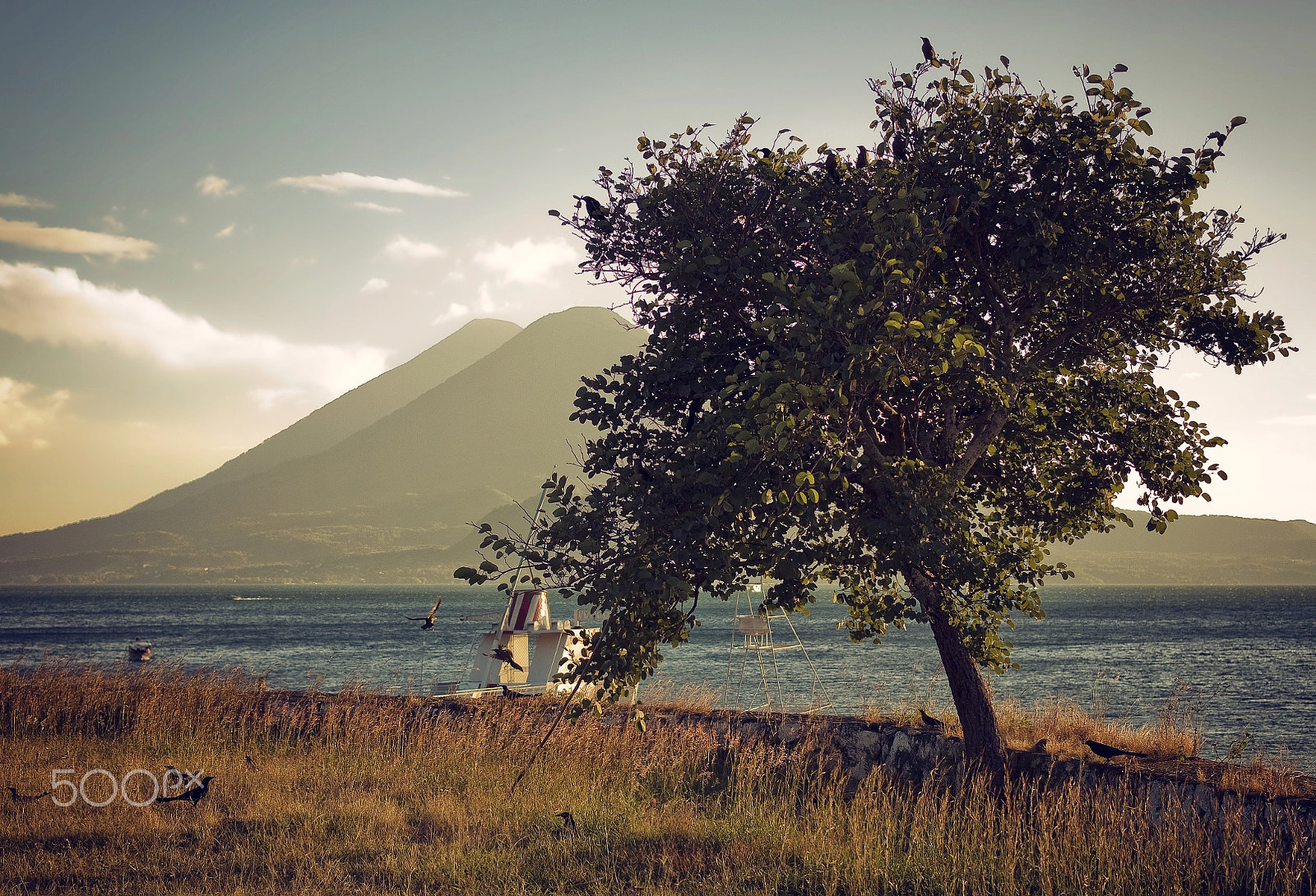 Canon EF 40mm F2.8 STM sample photo. Paradise photography