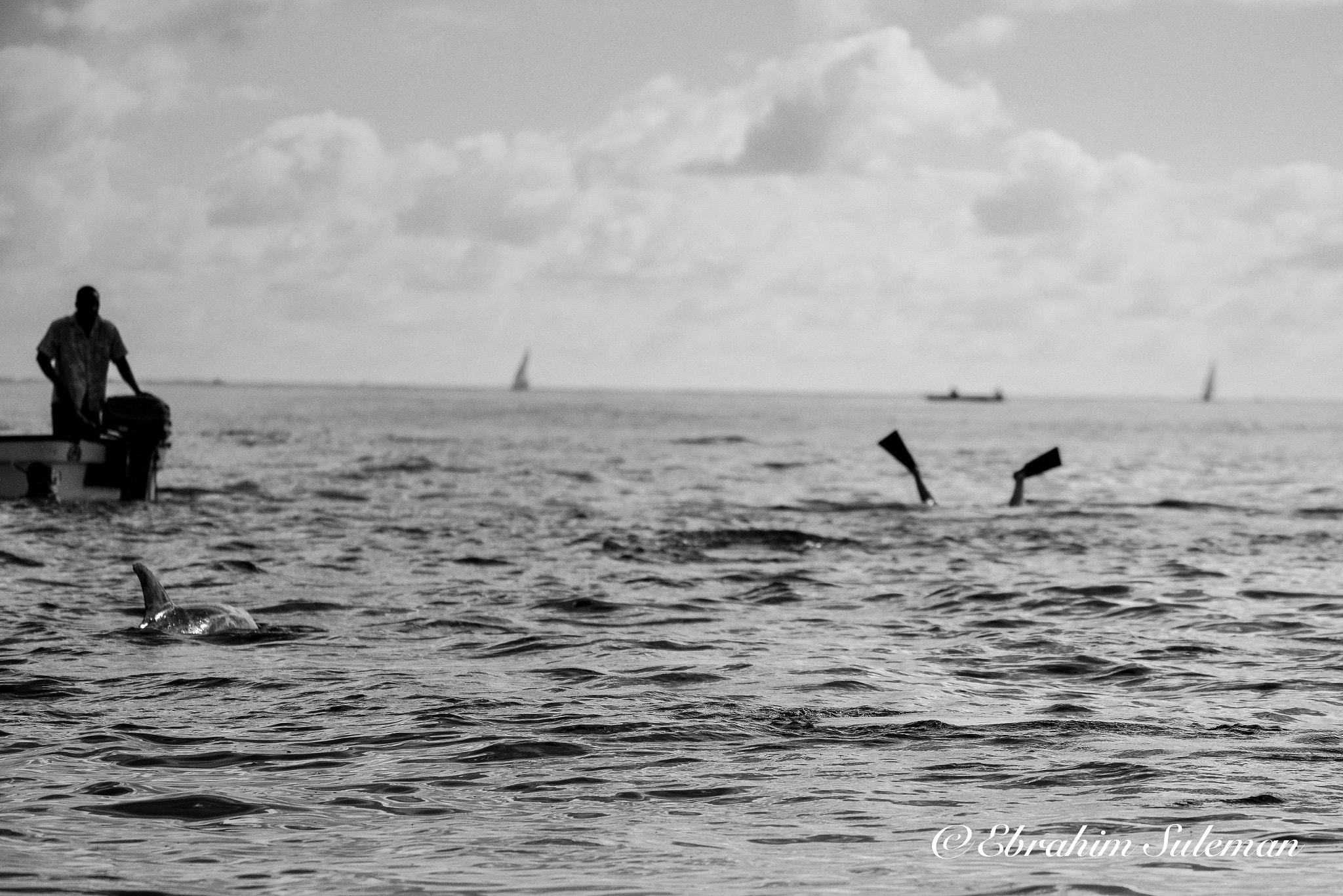Sigma 150-600mm F5-6.3 DG OS HSM | S sample photo. Dolphin dive photography