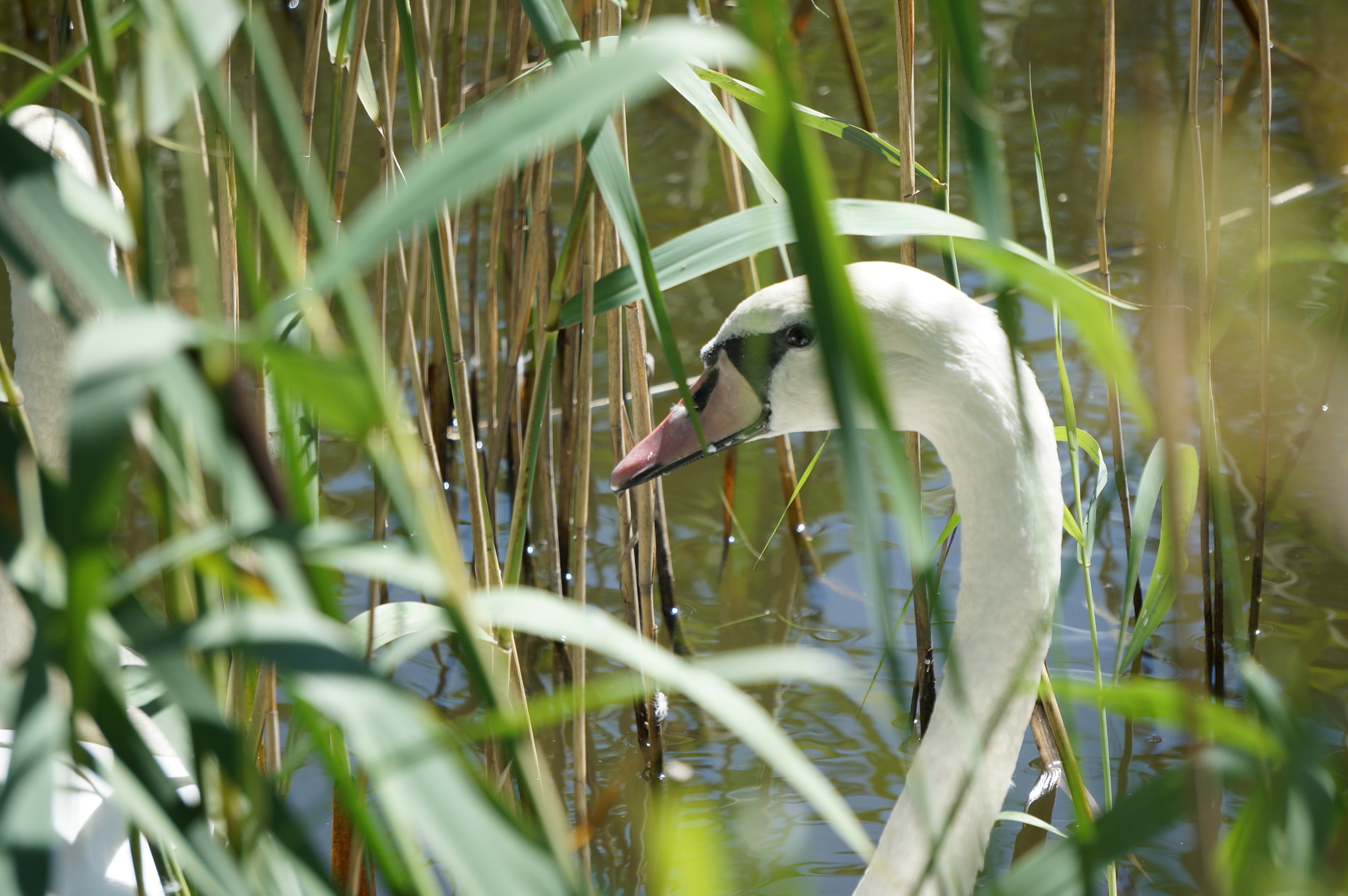 Sony Alpha NEX-6 sample photo