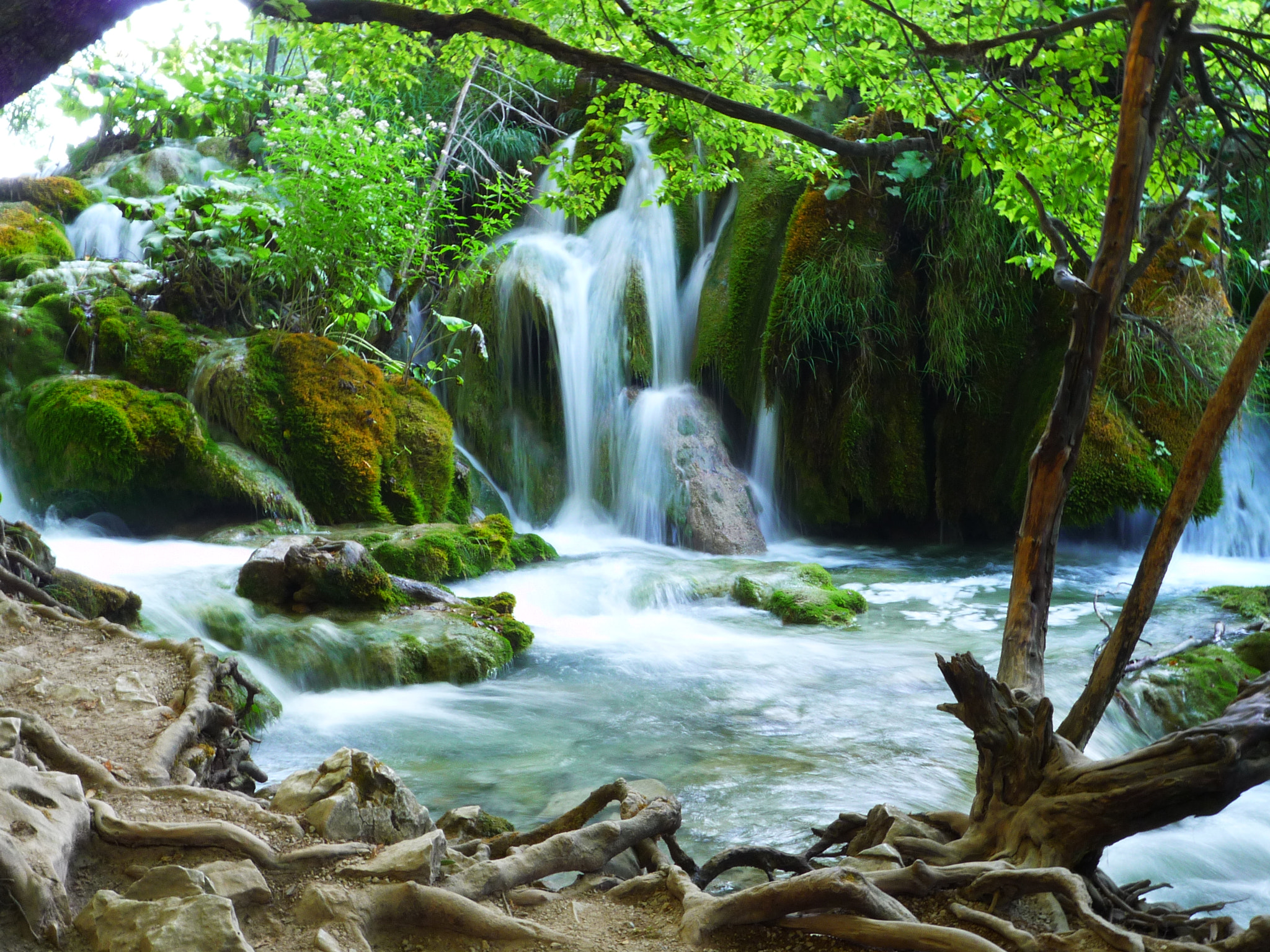 Panasonic DMC-FX500 sample photo. Plitviče lakes national park photography