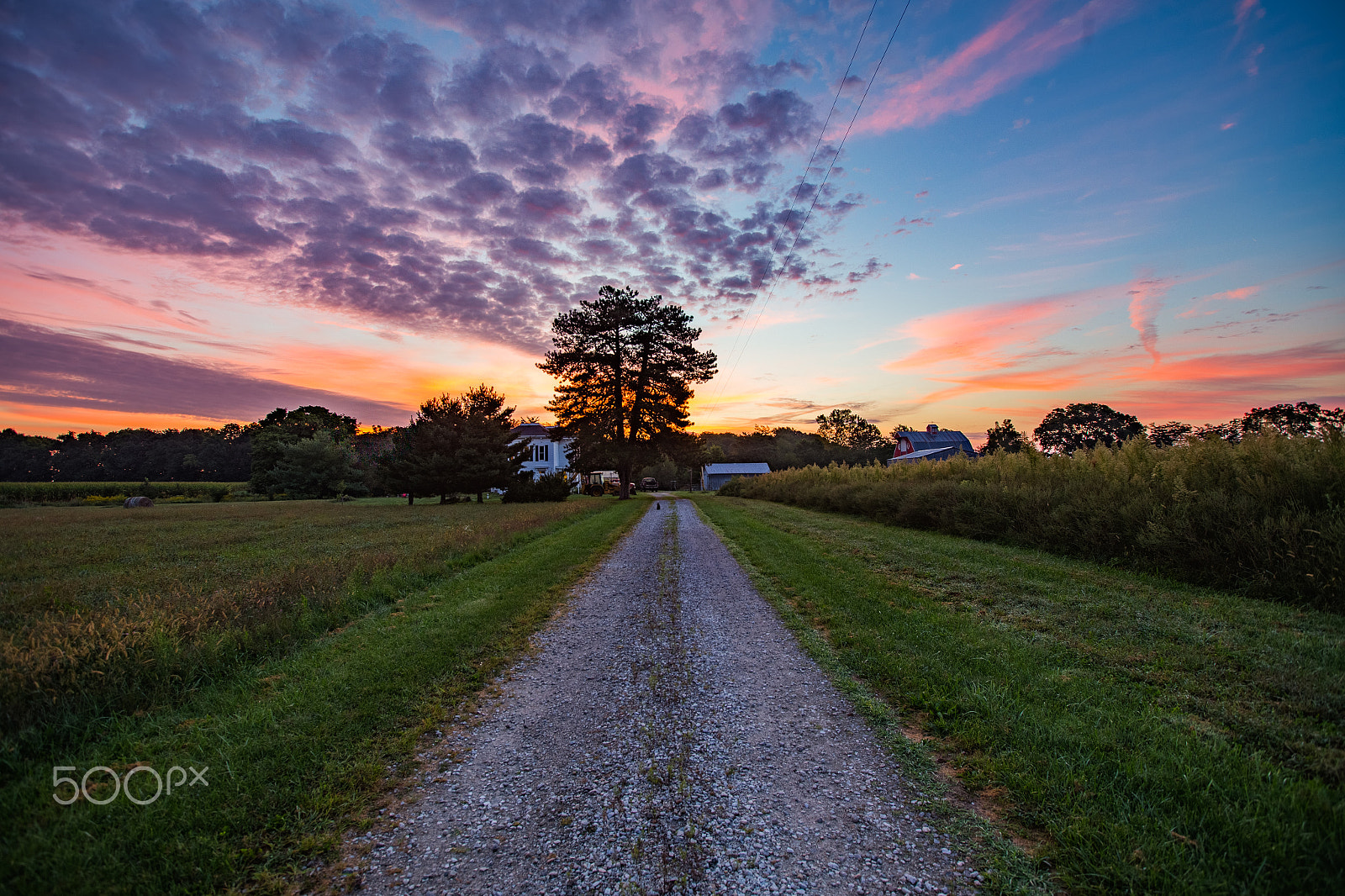 Canon EOS-1D C + Canon EF 16-35mm F2.8L II USM sample photo. Painted morning photography