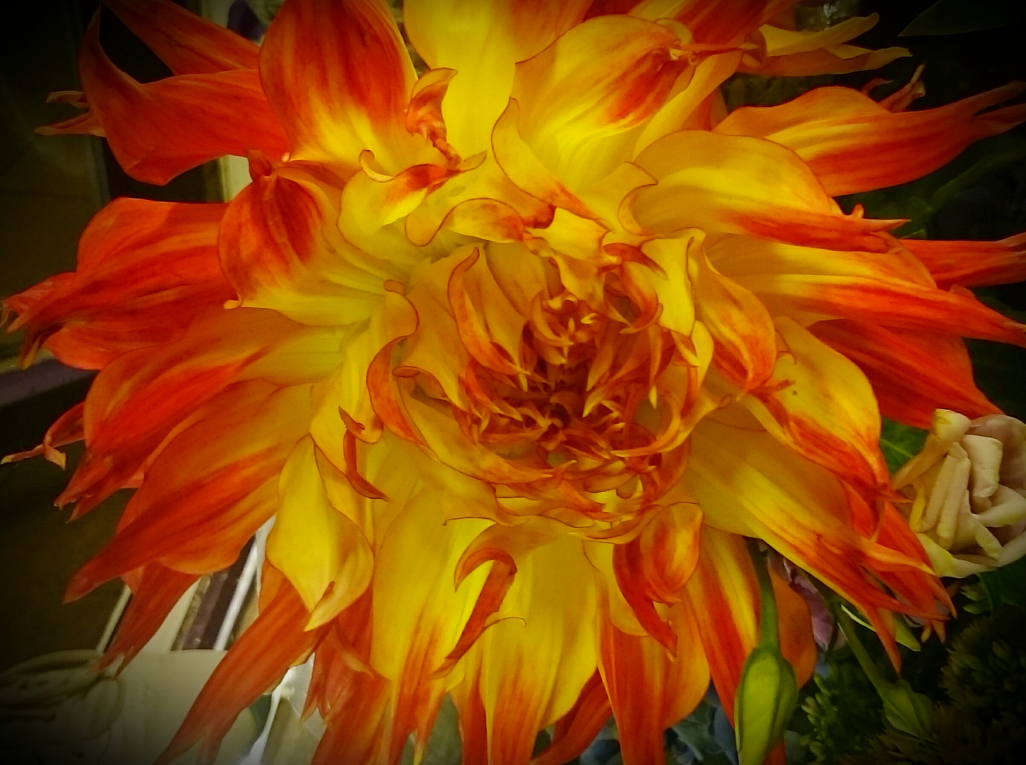 Sony Xperia Z Ultra sample photo