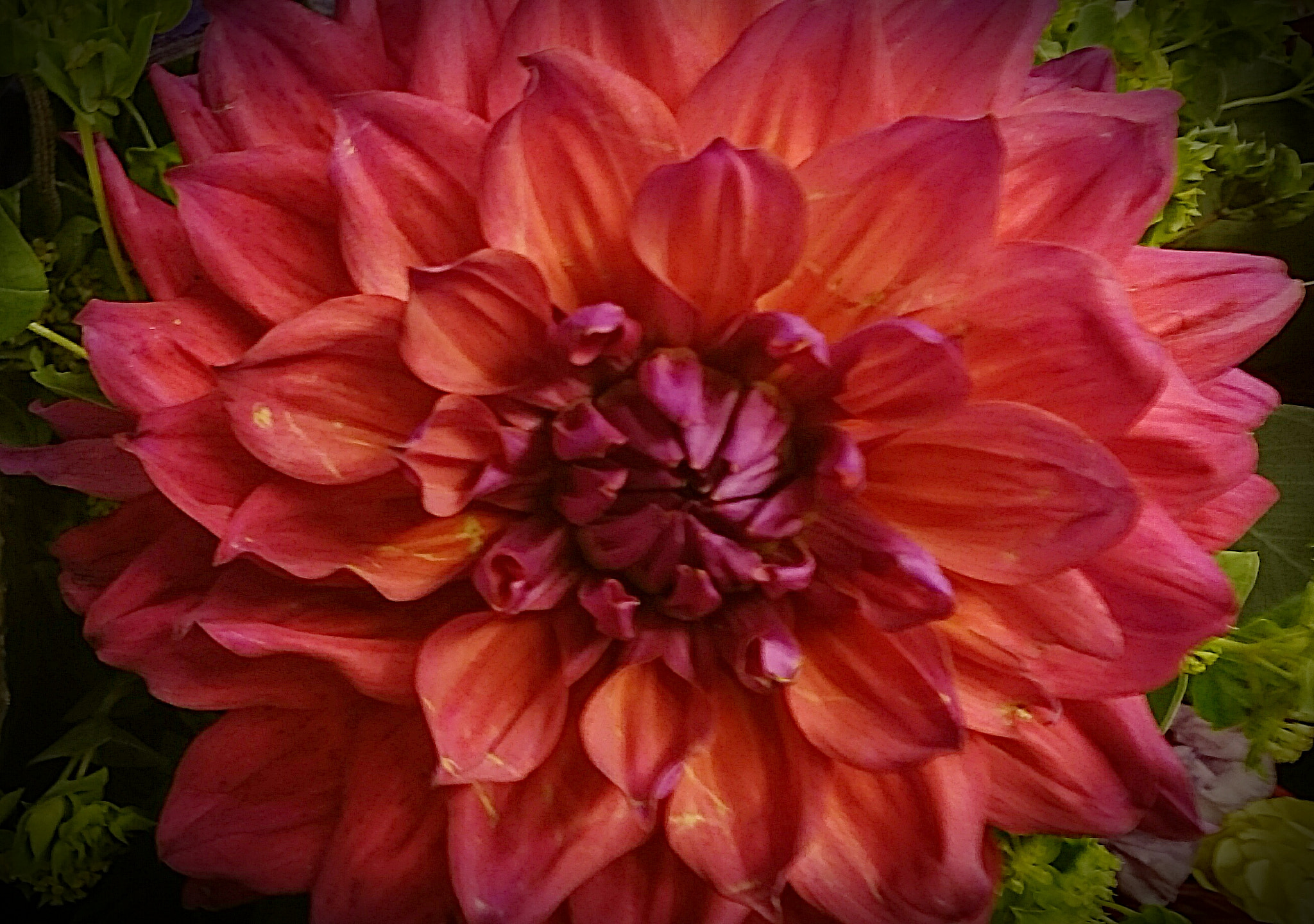 Sony Xperia Z Ultra sample photo