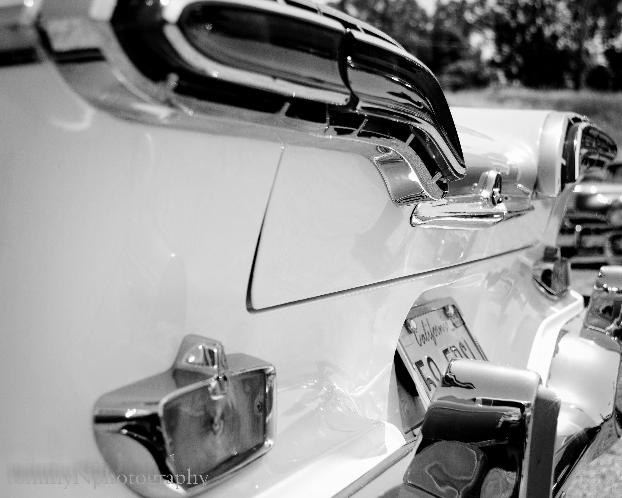 Canon EOS 500D (EOS Rebel T1i / EOS Kiss X3) sample photo. Primo edsel photography