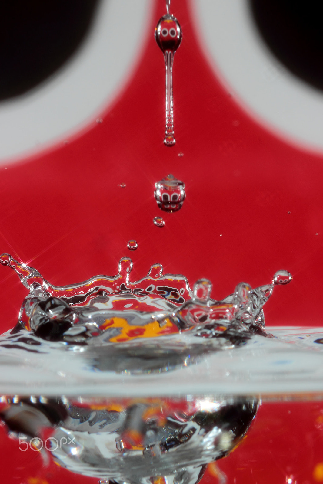 Canon EF 100mm F2.8 Macro USM sample photo. Bang! photography