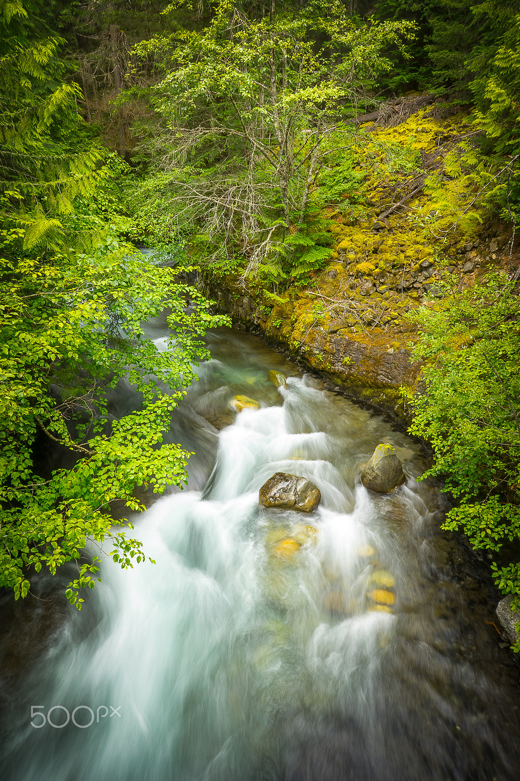 Sony a7 II + Sony E 16mm F2.8 sample photo. Flow with me photography