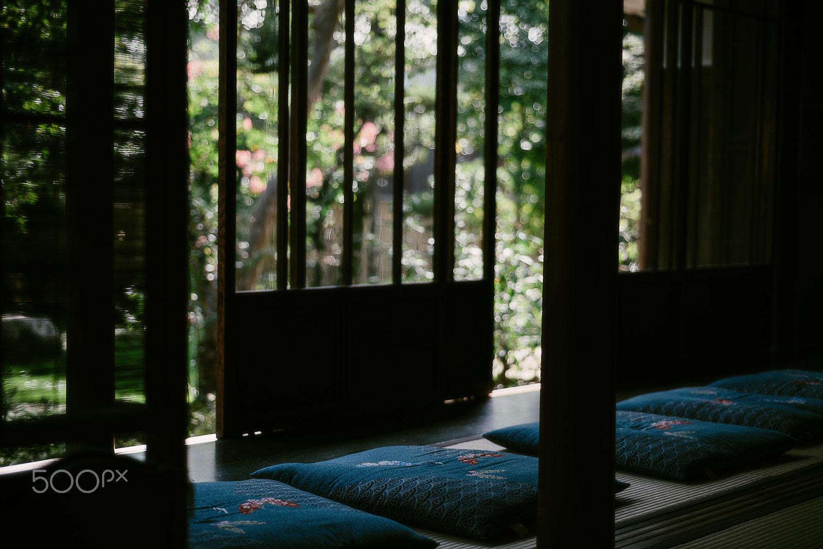 Nikon AF Micro-Nikkor 60mm F2.8D sample photo. Engawa photography