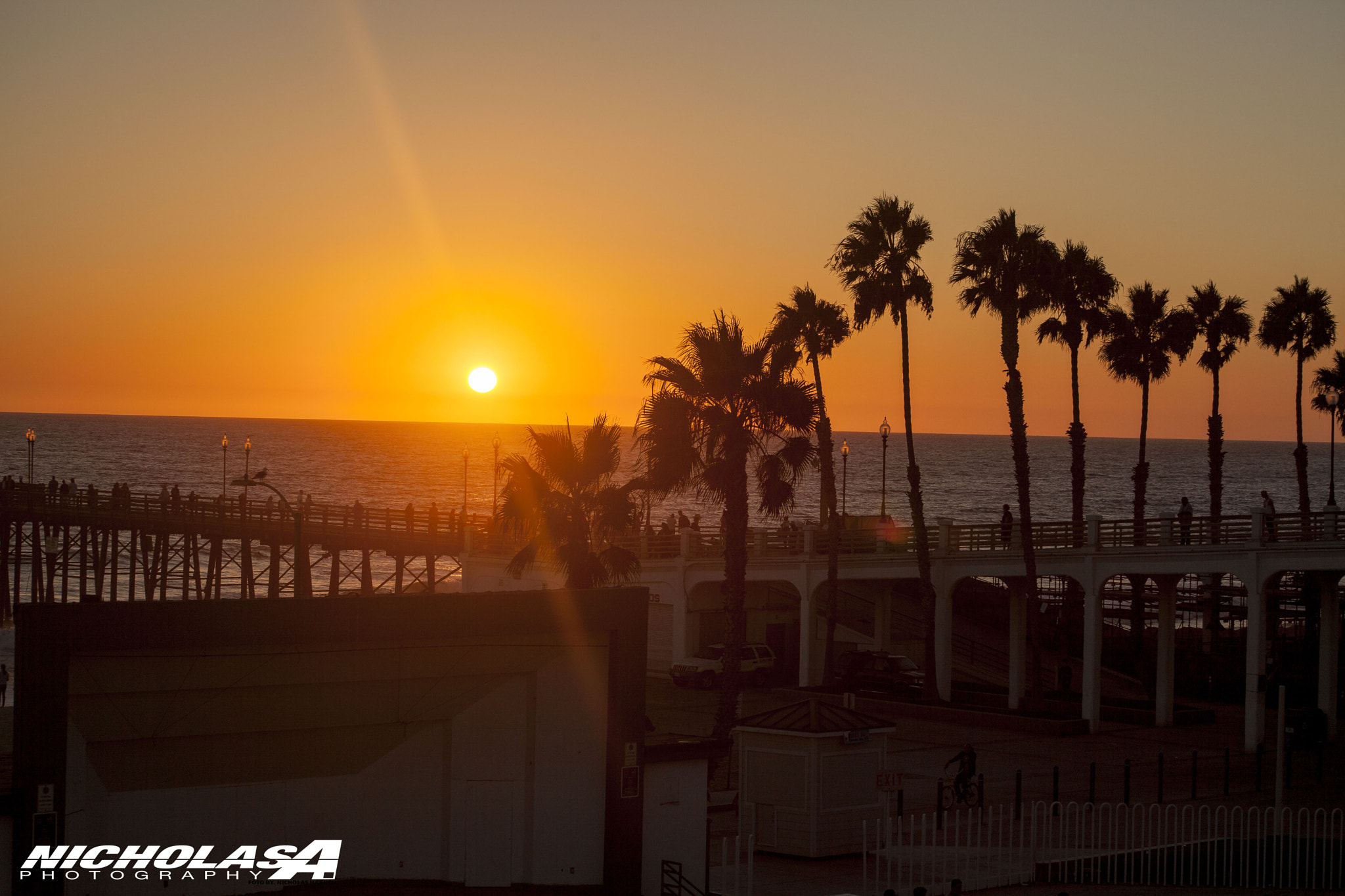 Canon EF 75-300mm f/4-5.6 USM sample photo. Palms photography