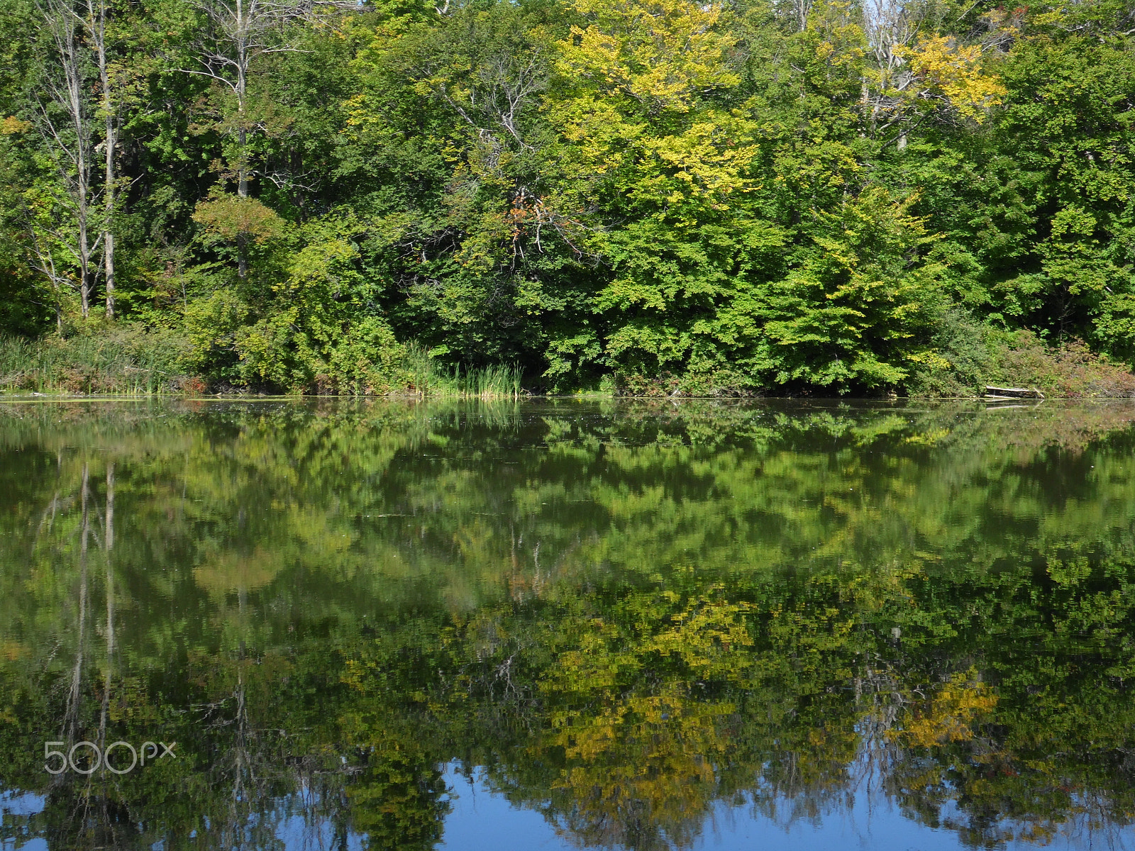 Samsung WB110/  WB111 sample photo. Reflections photography