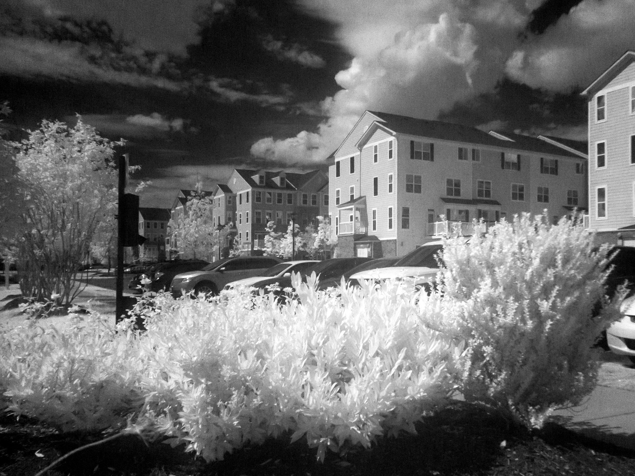 Olympus M.Zuiko Digital ED 14-42mm F3.5-5.6 EZ sample photo. Infrared 850nm photography