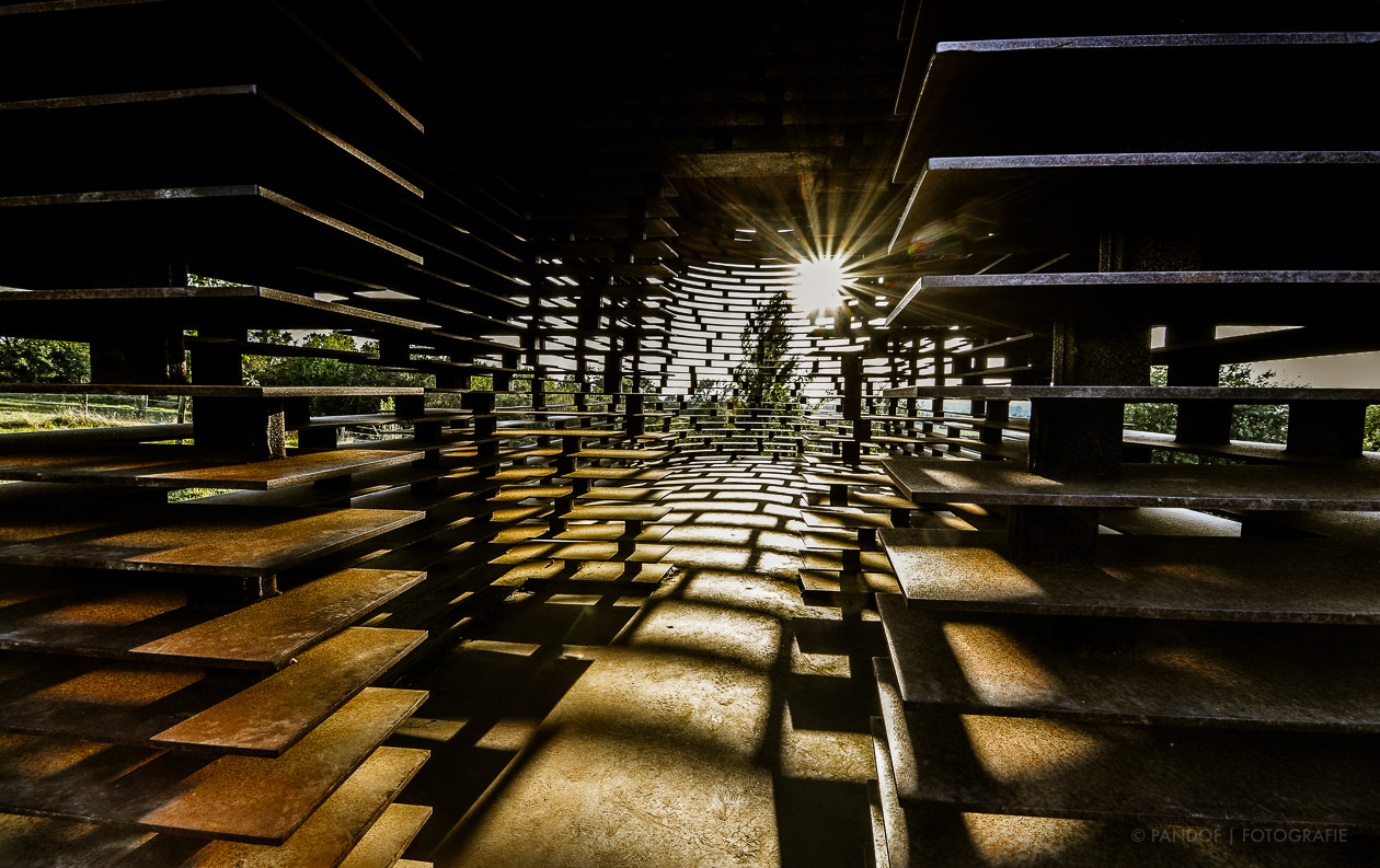 Tokina AT-X Pro 11-16mm F2.8 DX sample photo. Reading between the lines photography